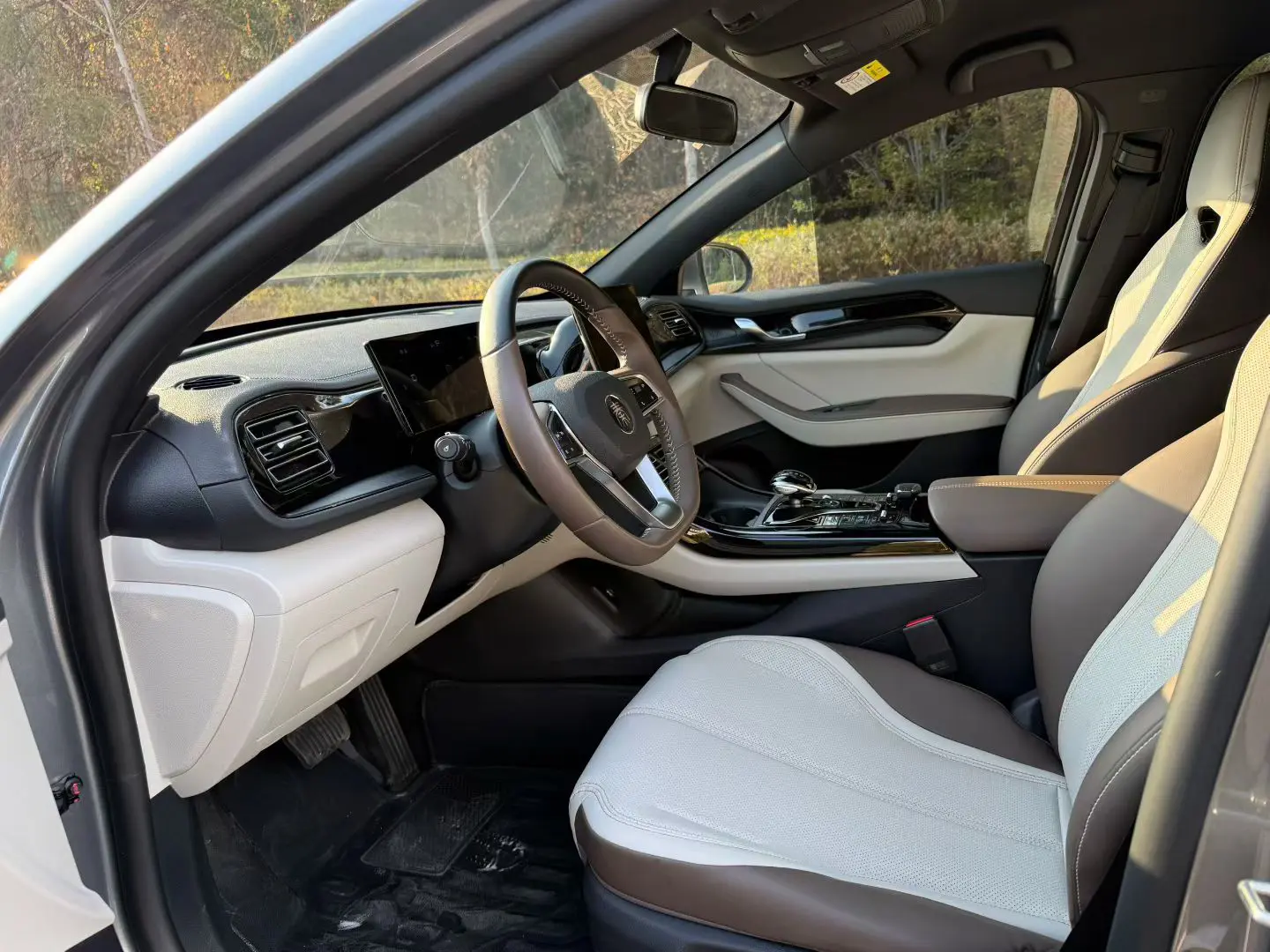 BYD Qin PLUS DM  из Китая