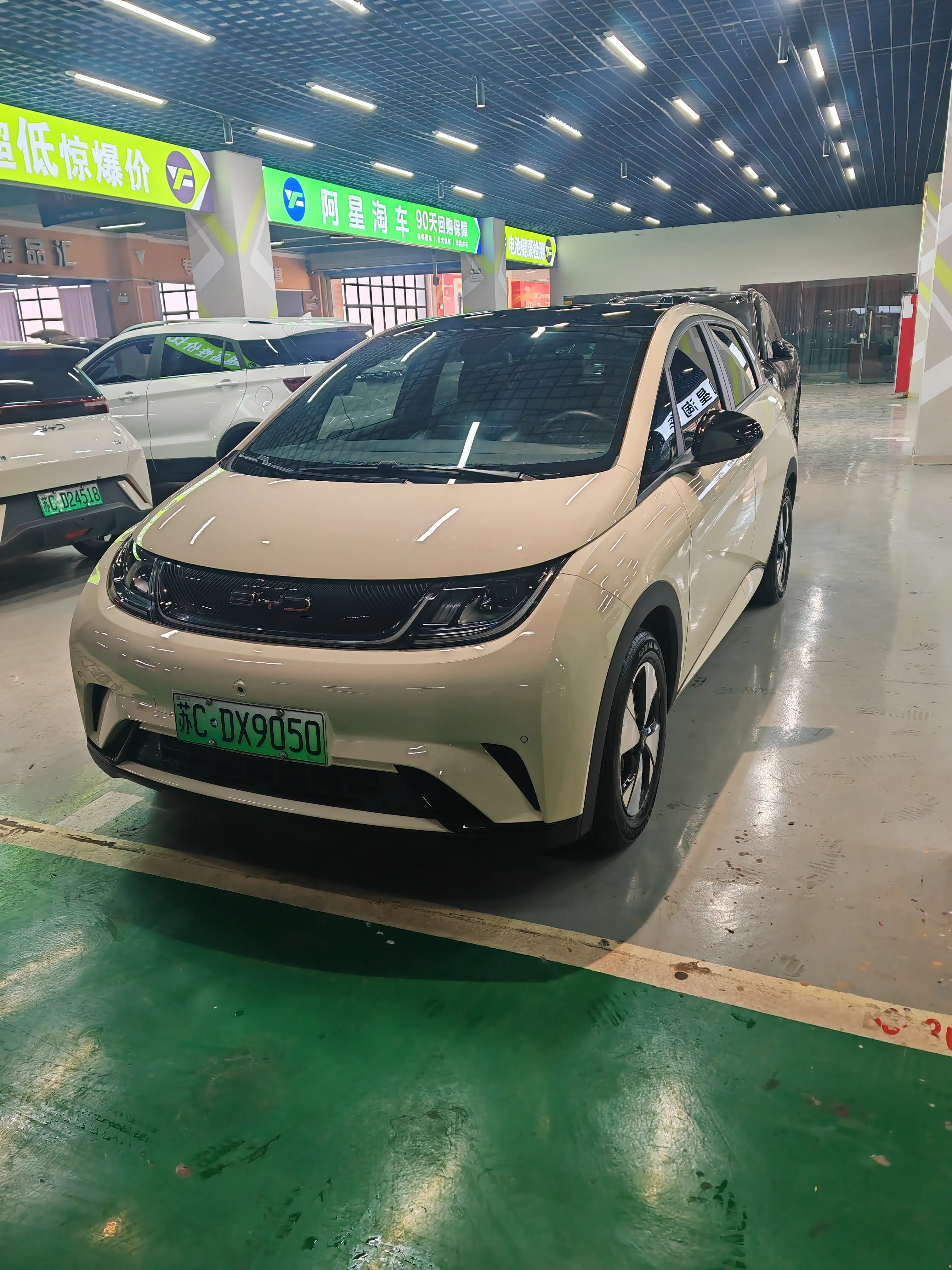 BYD Dolphin  из Китая