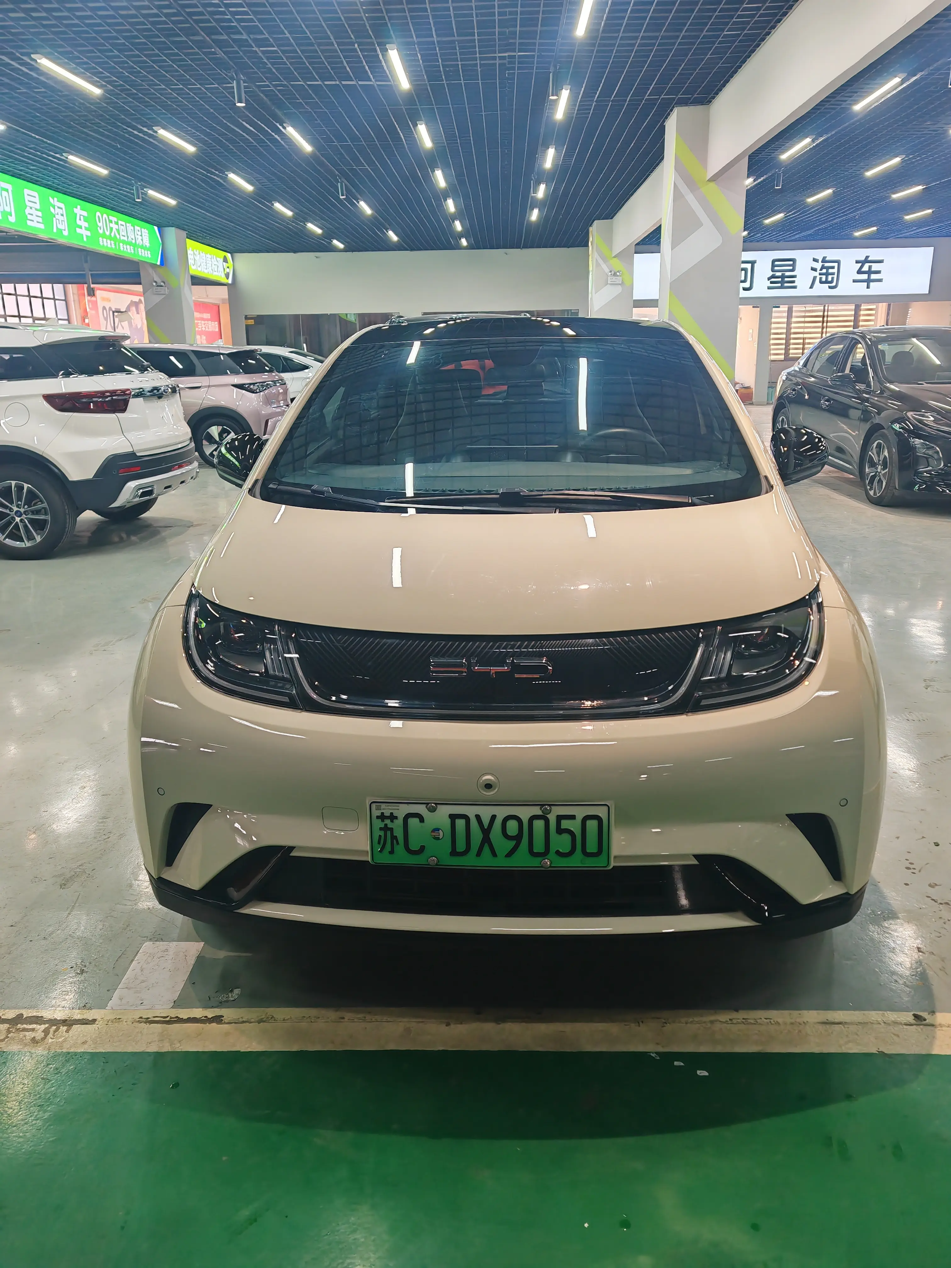 BYD Dolphin  из Китая