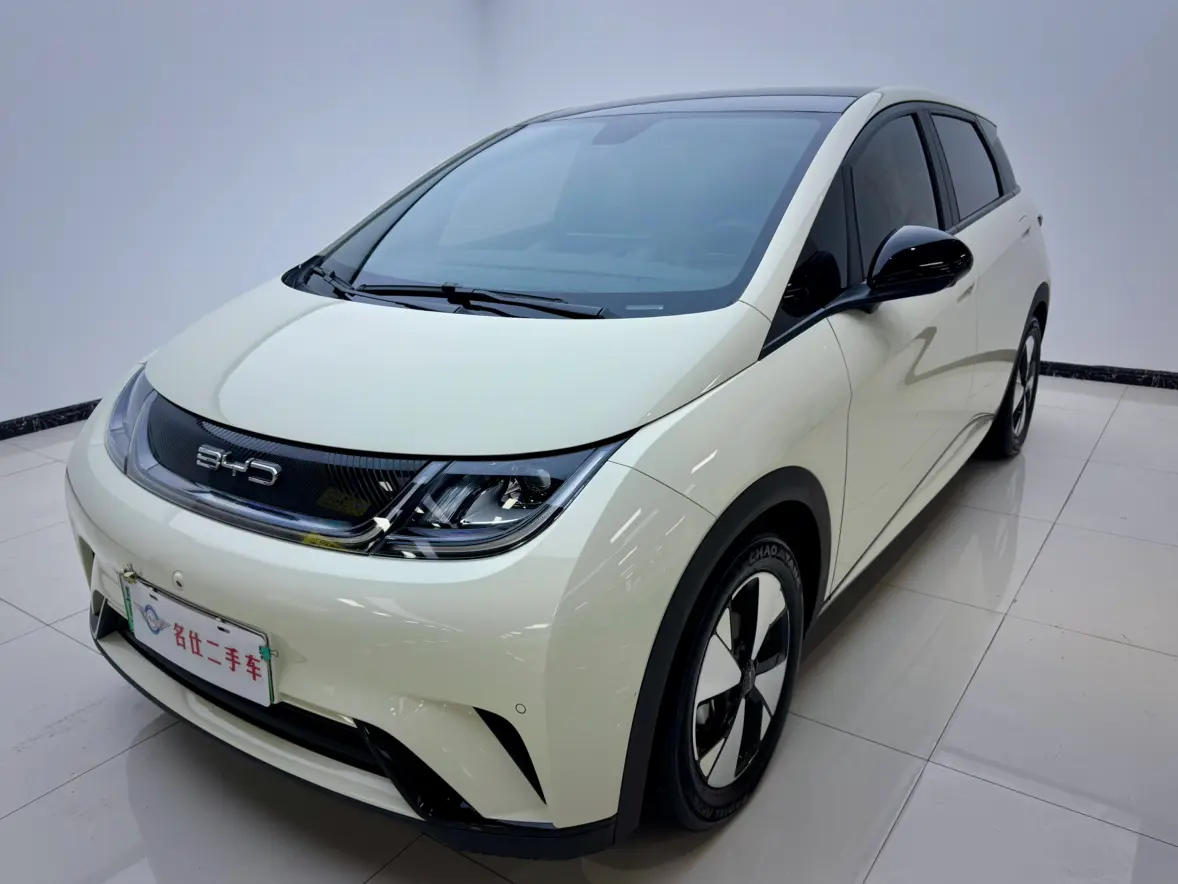 BYD Dolphin  из Китая
