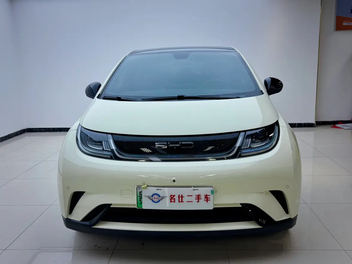 BYD Dolphin  из Китая