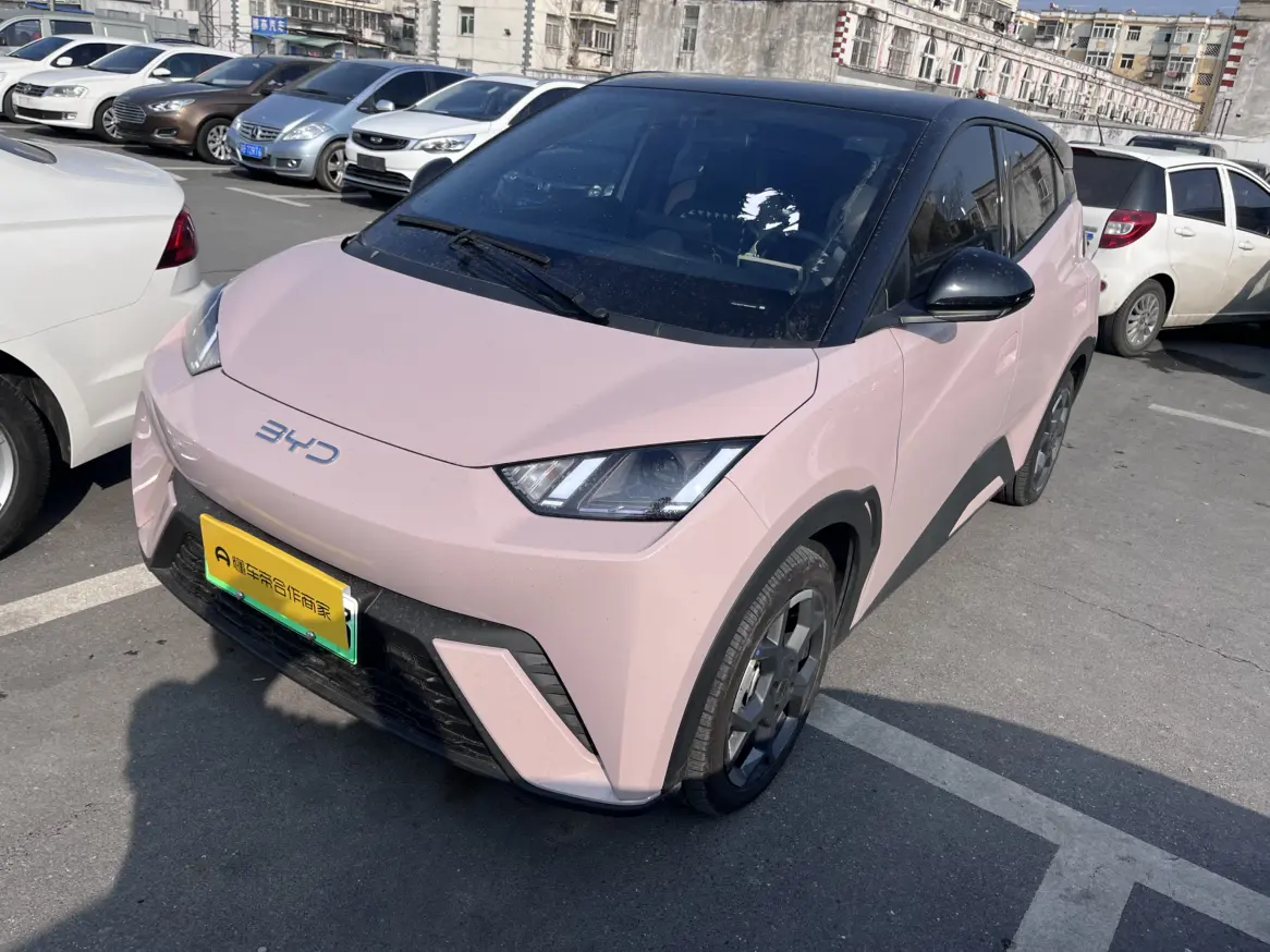 BYD Seagull  из Китая