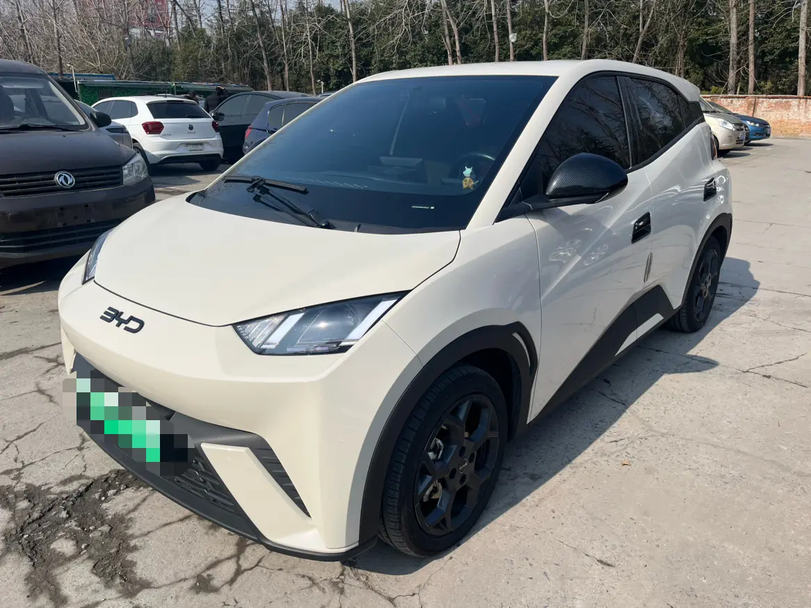 BYD Seagull  из Китая