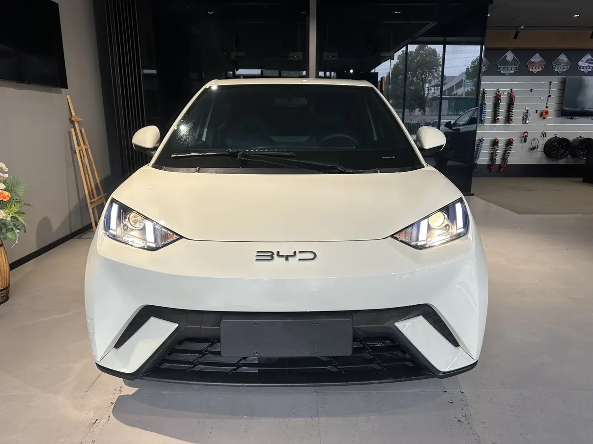 BYD Seagull  из Китая