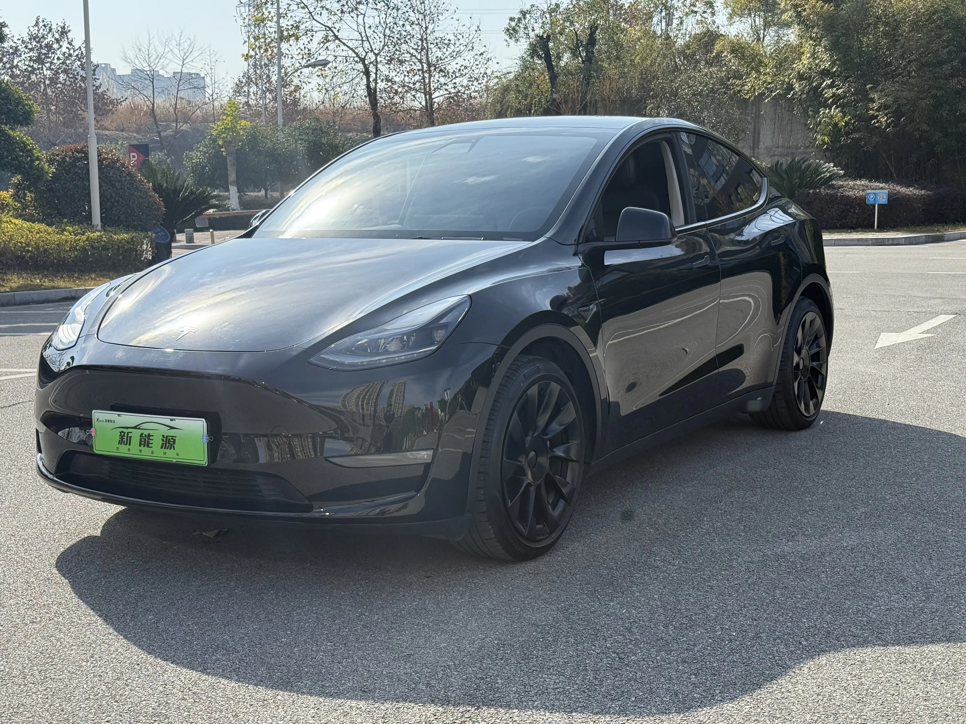 Tesla Model Y  из Китая