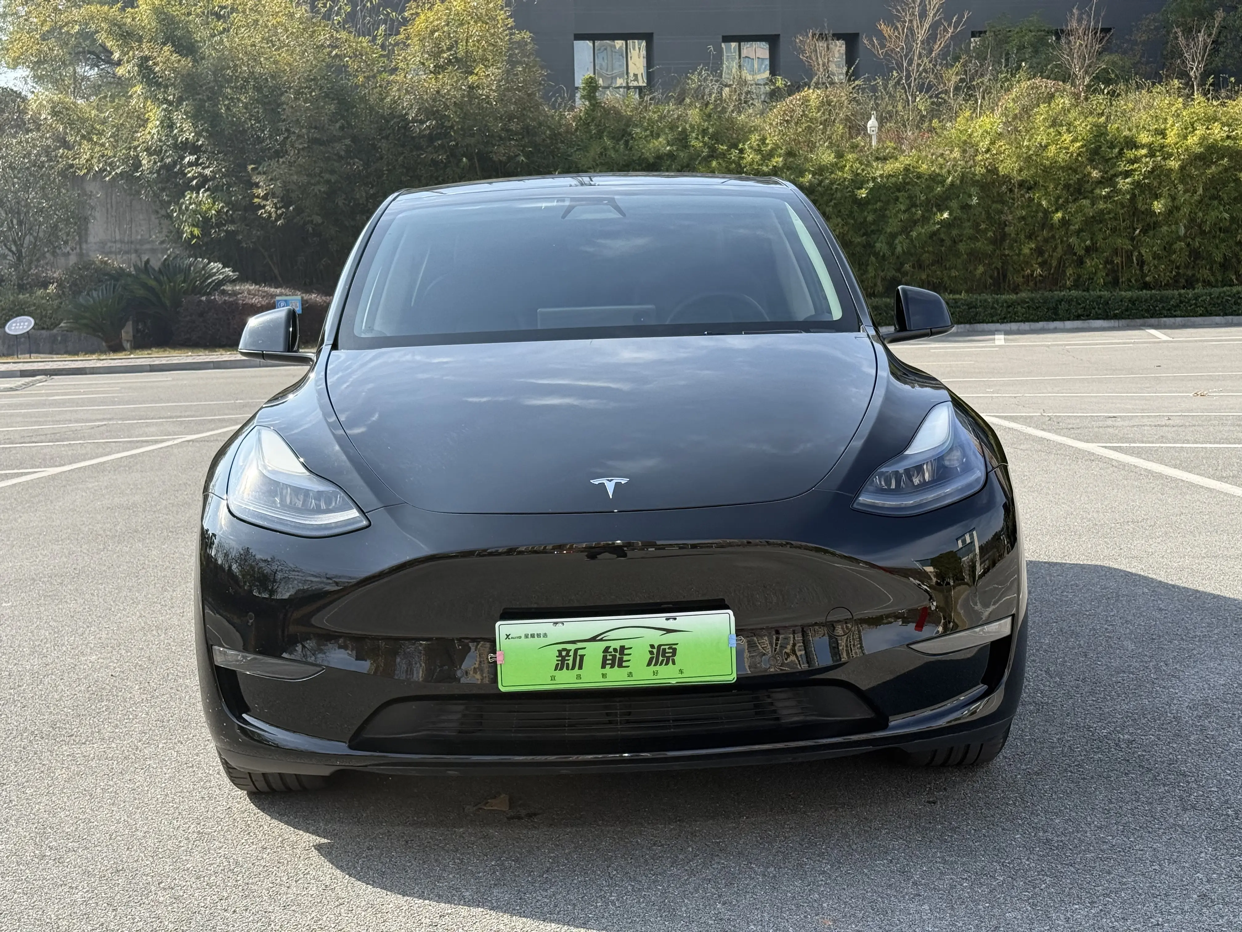 Tesla Model Y  из Китая