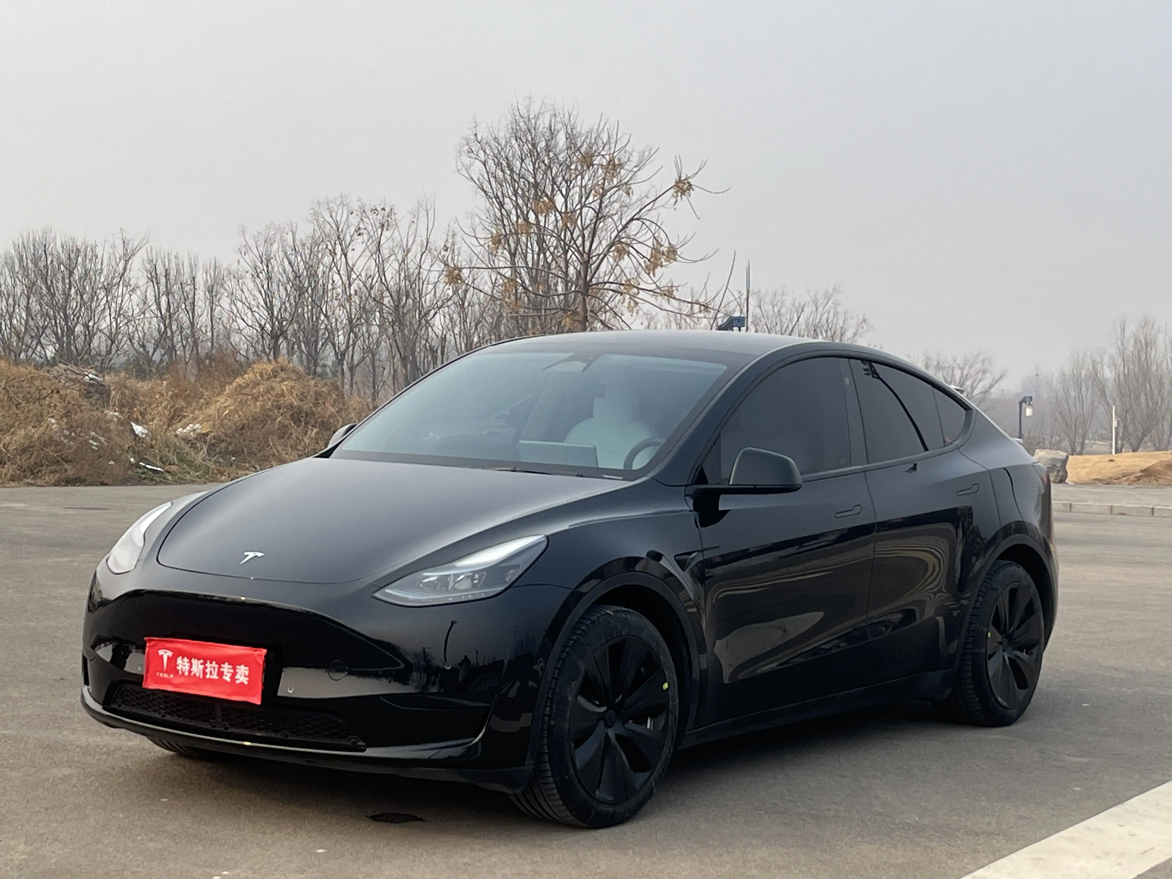 Tesla Model Y  из Китая