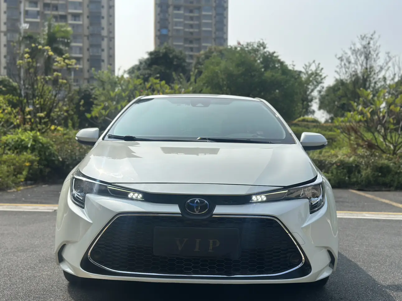 Toyota Levin (Lei Ling)  из Китая