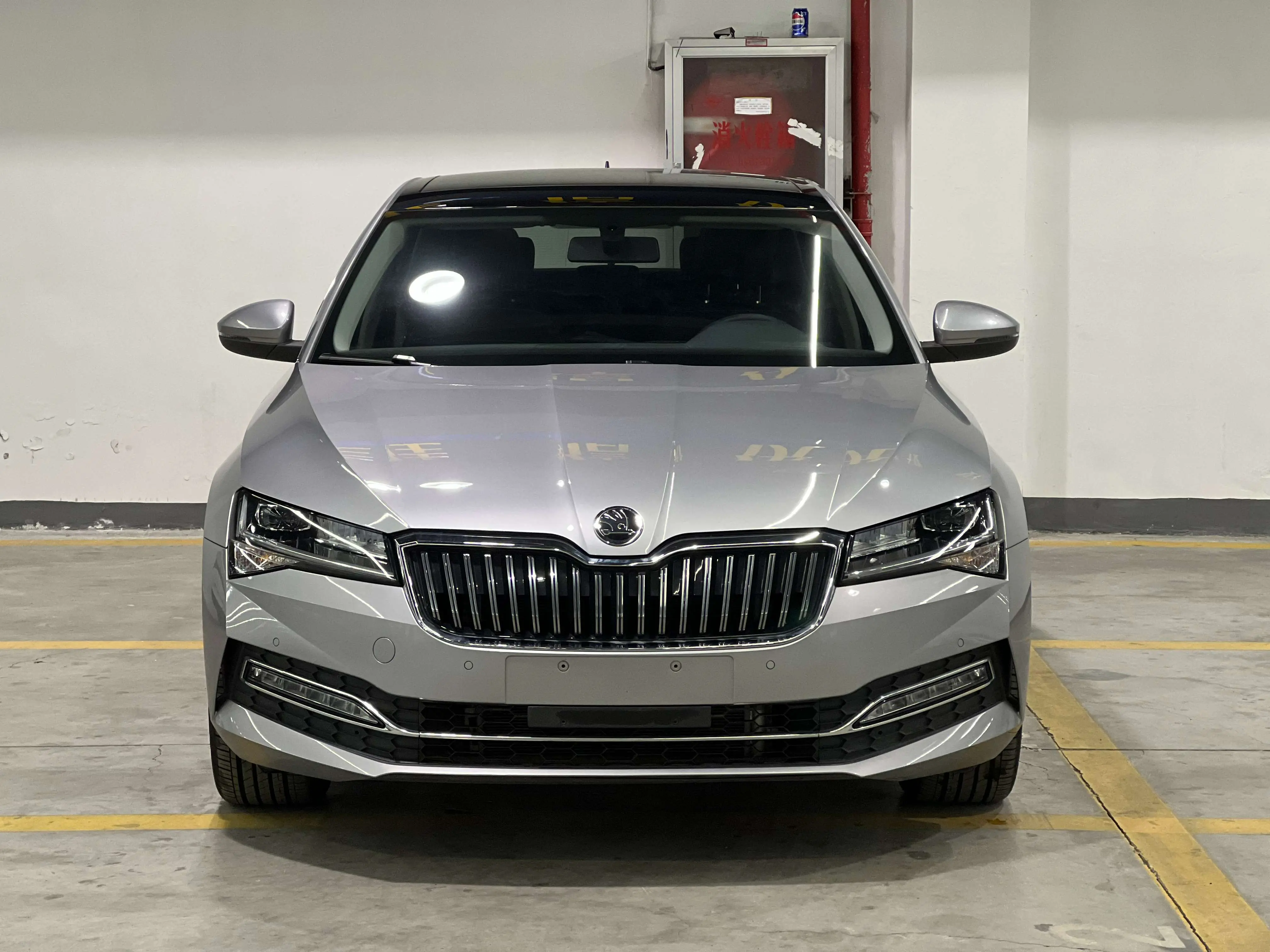 Skoda Speedy  из Китая