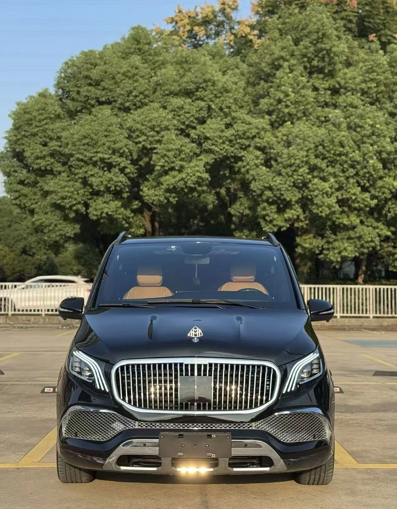 Mercedes-Benz Vito  из Китая