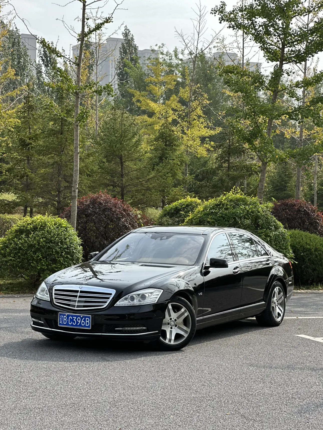 Mercedes-Benz Mercedes Benz S Class  из Китая