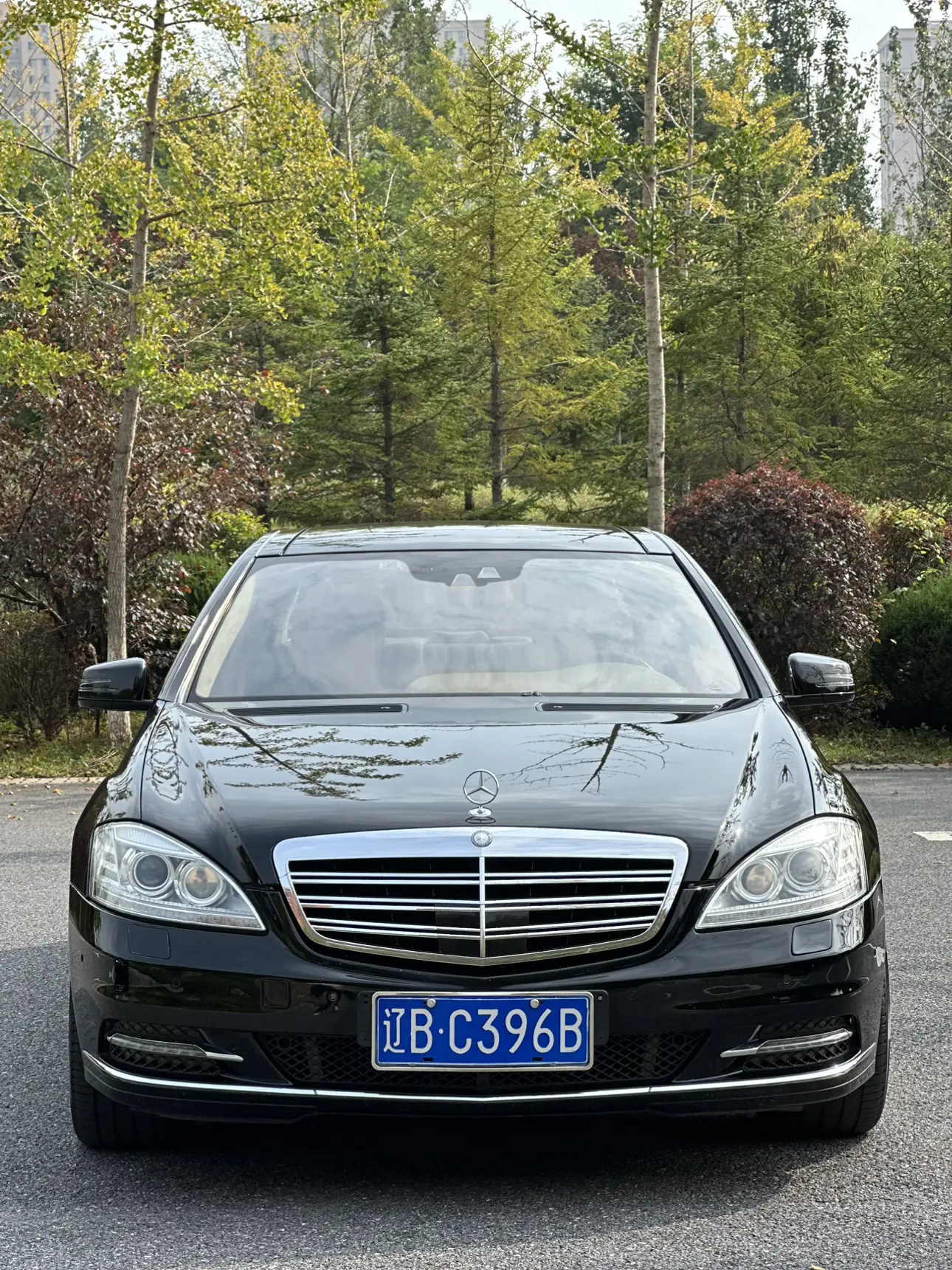 Mercedes-Benz Mercedes Benz S Class  из Китая