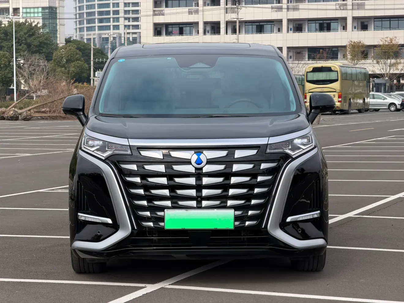 Denza D9 DM  из Китая