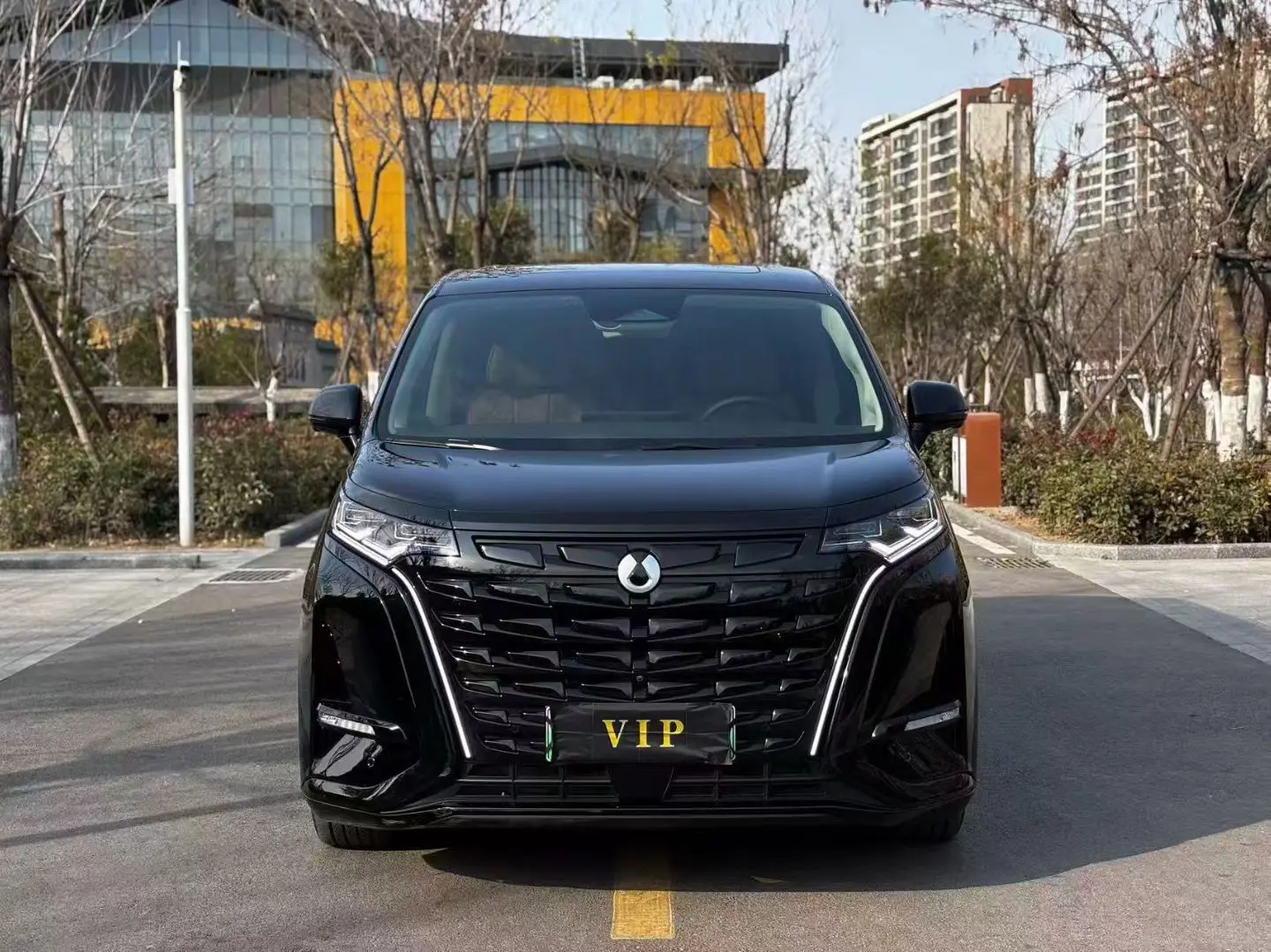 Denza D9 DM  из Китая