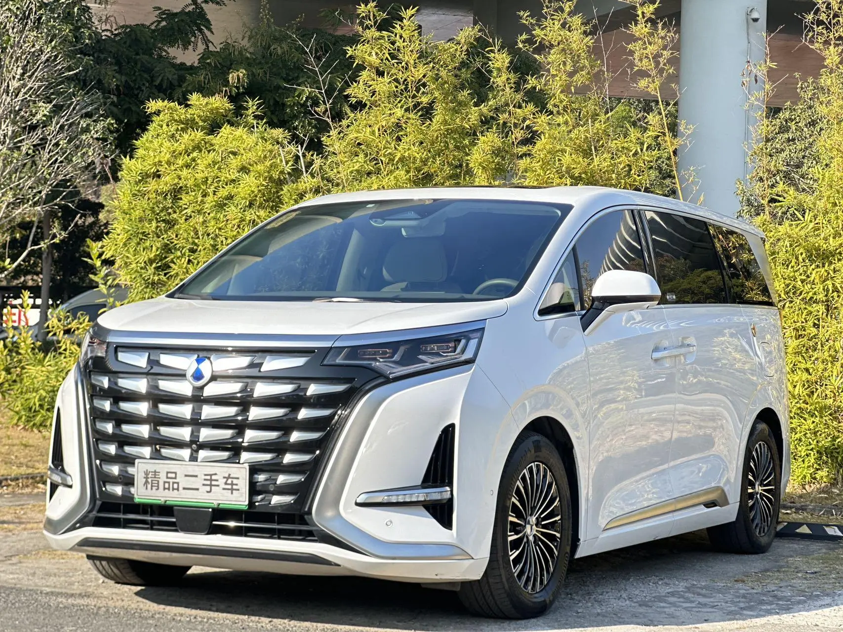 Denza D9 DM  из Китая