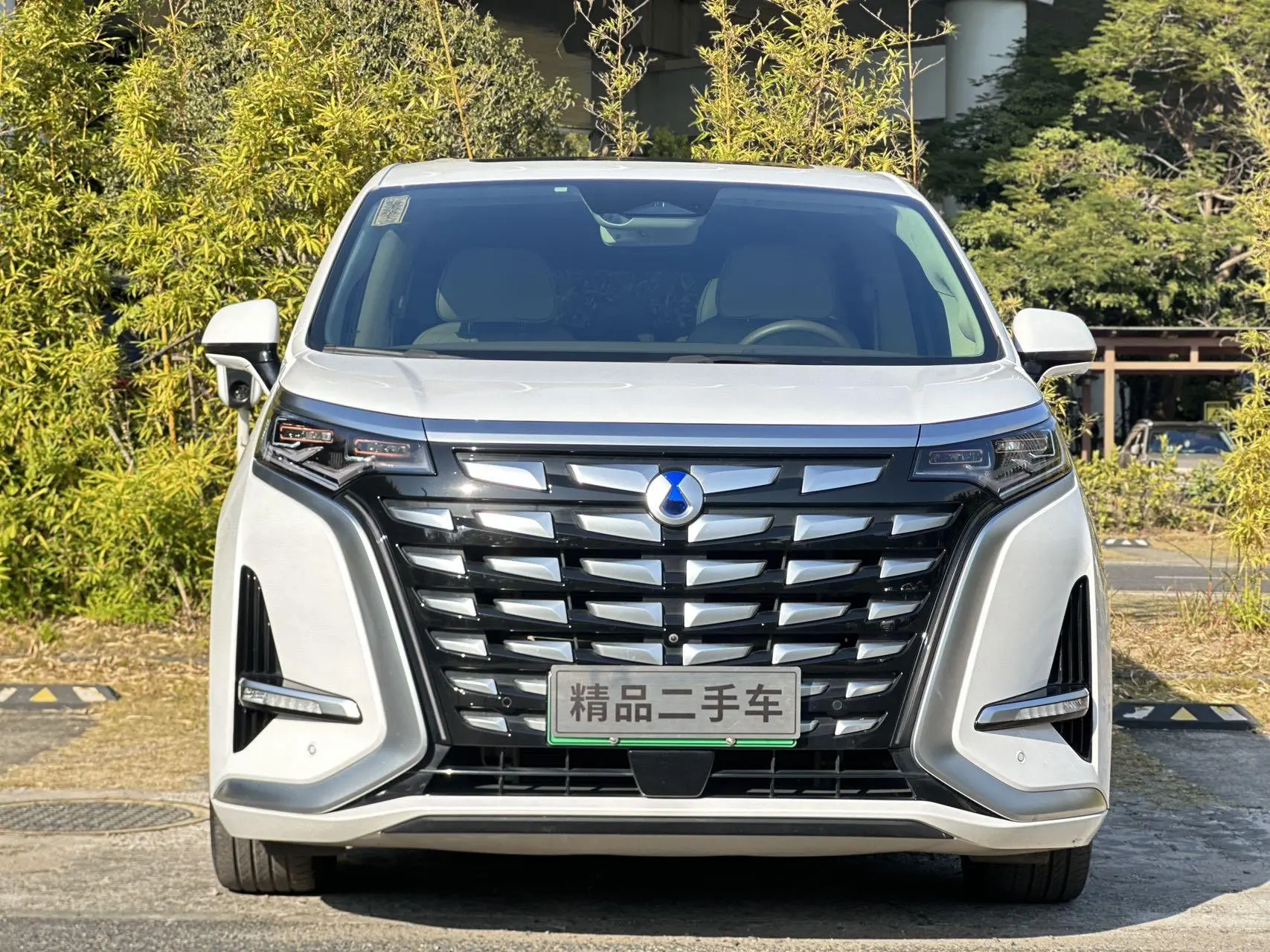 Denza D9 DM  из Китая