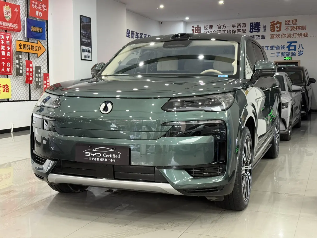 Denza Tengzhong N9 DM  из Китая