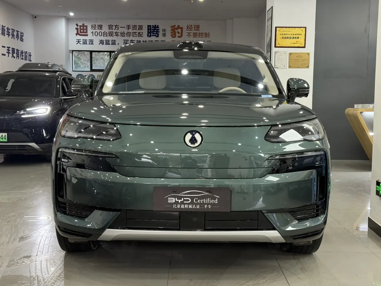 Denza Tengzhong N9 DM  из Китая