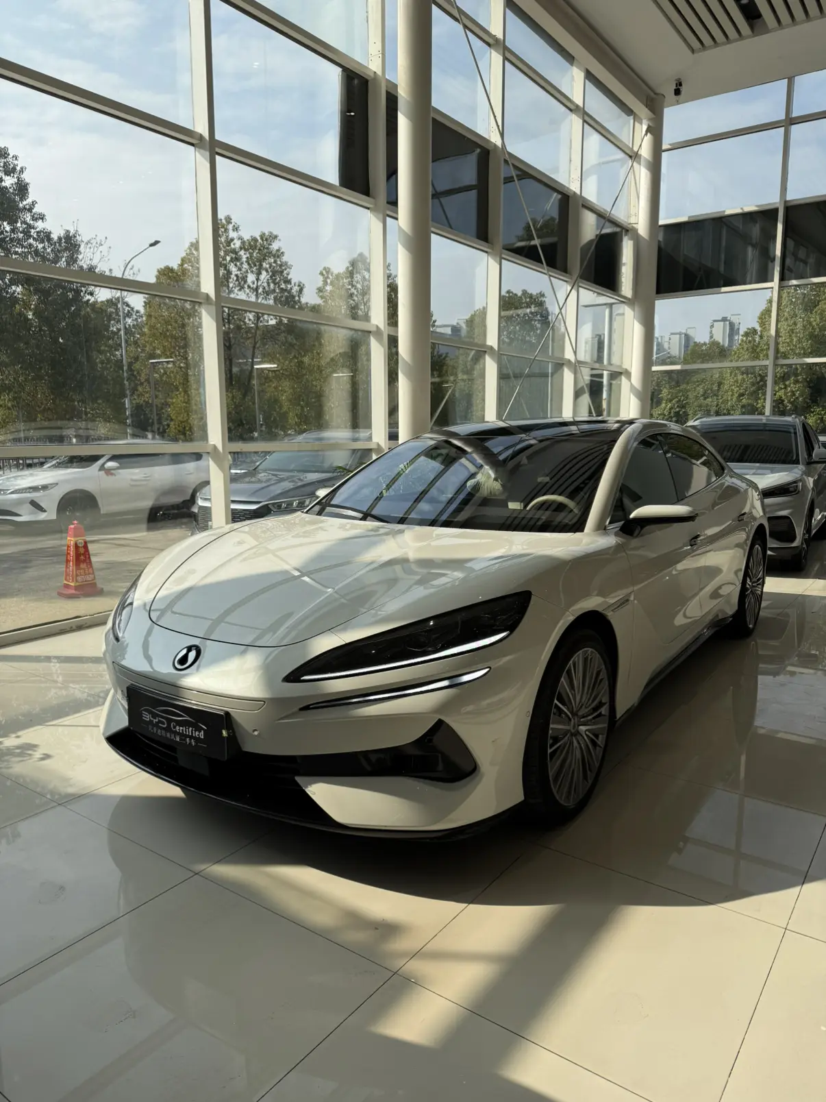 Denza Tengzhong Z9 DM  из Китая