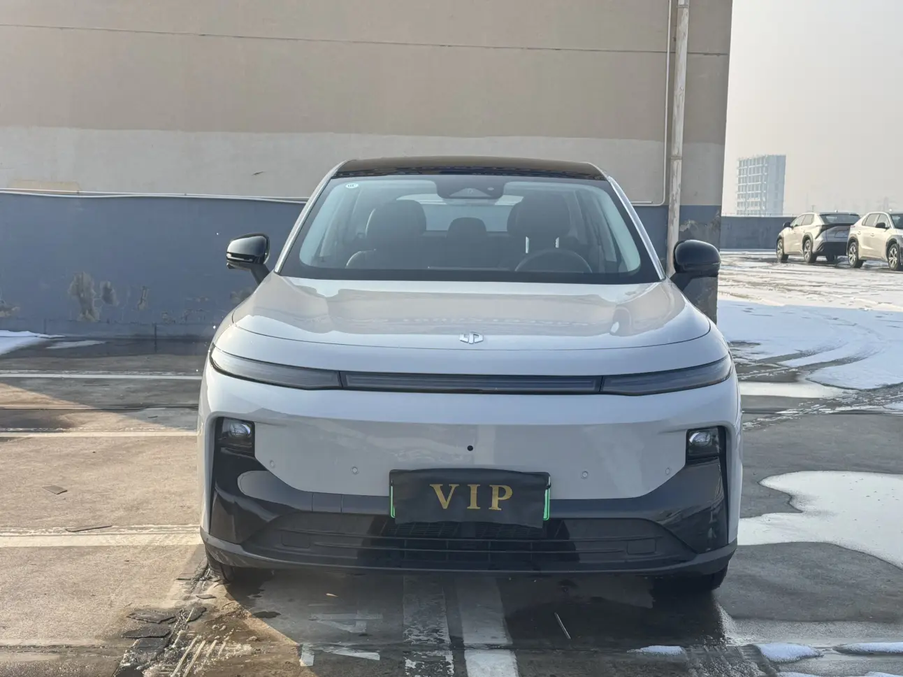 Leapmotor B10  из Китая