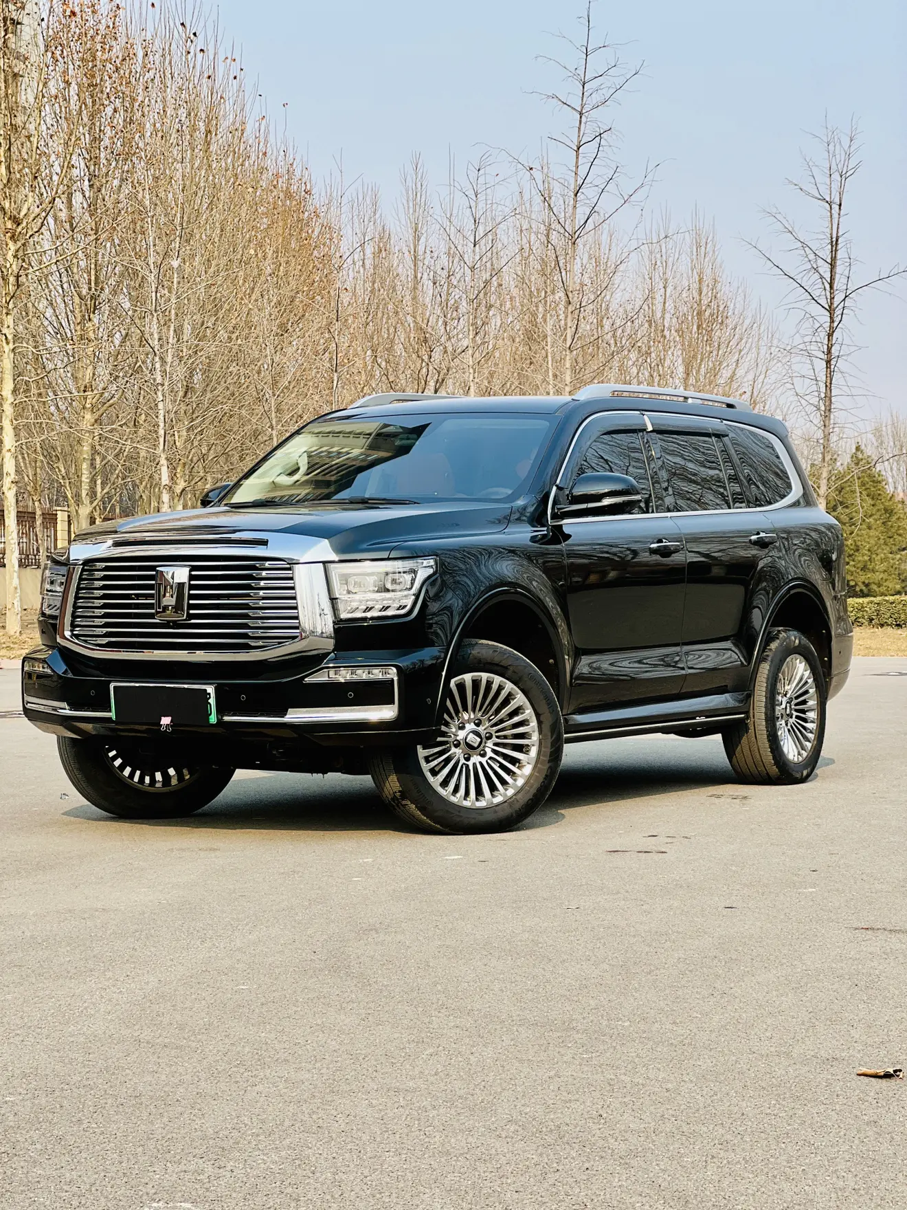 Tank 500 Hi4-T  из Китая