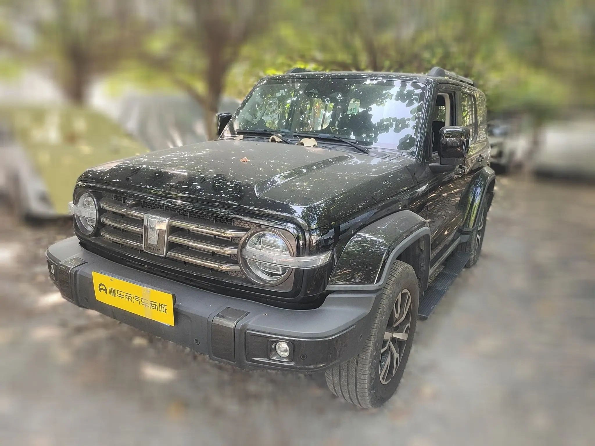 Tank 300  из Китая