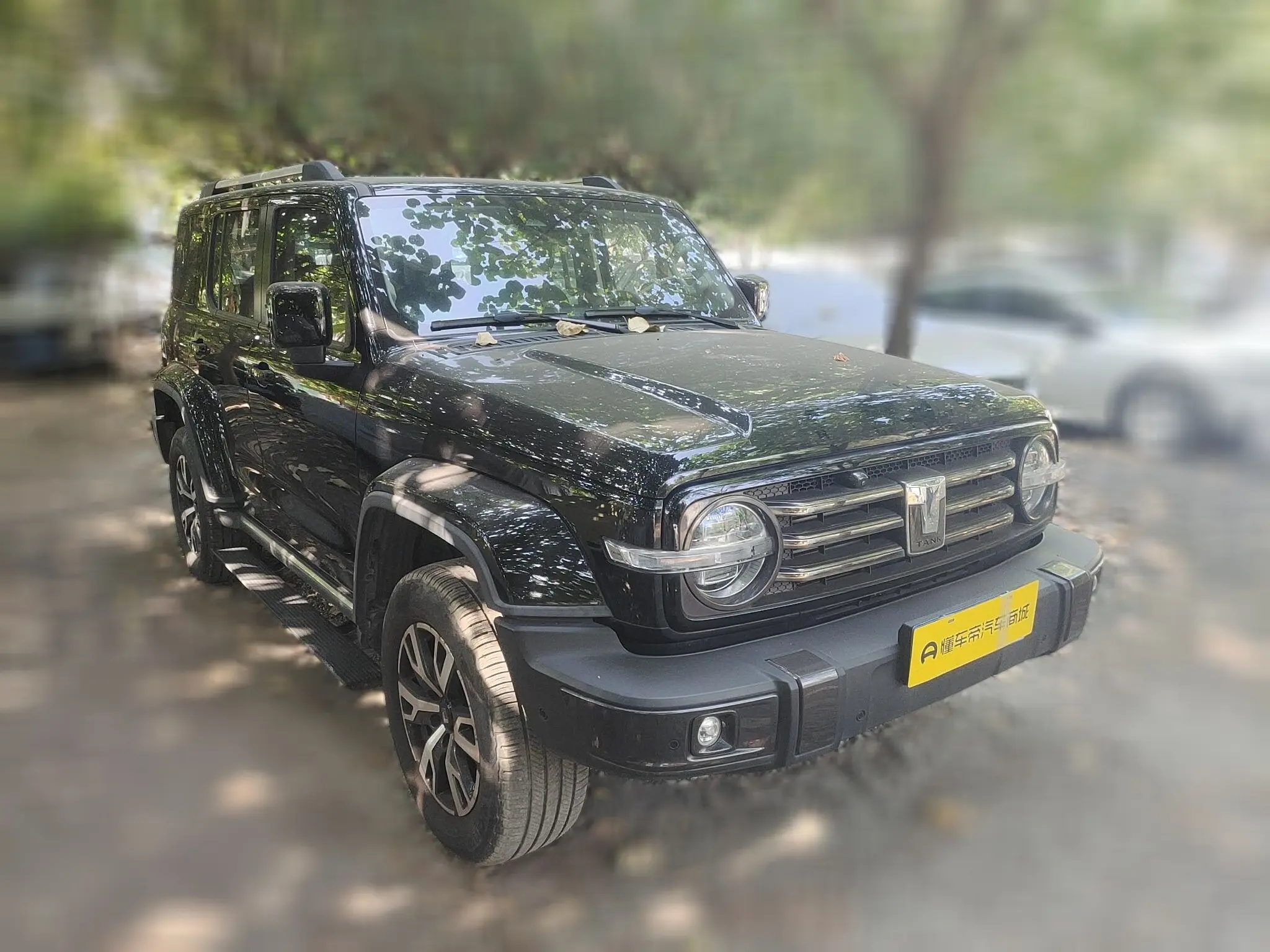 Tank 300  из Китая