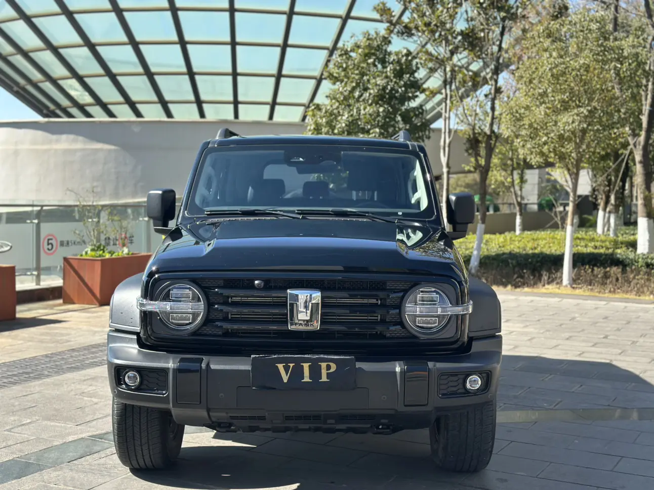 Tank 300  из Китая