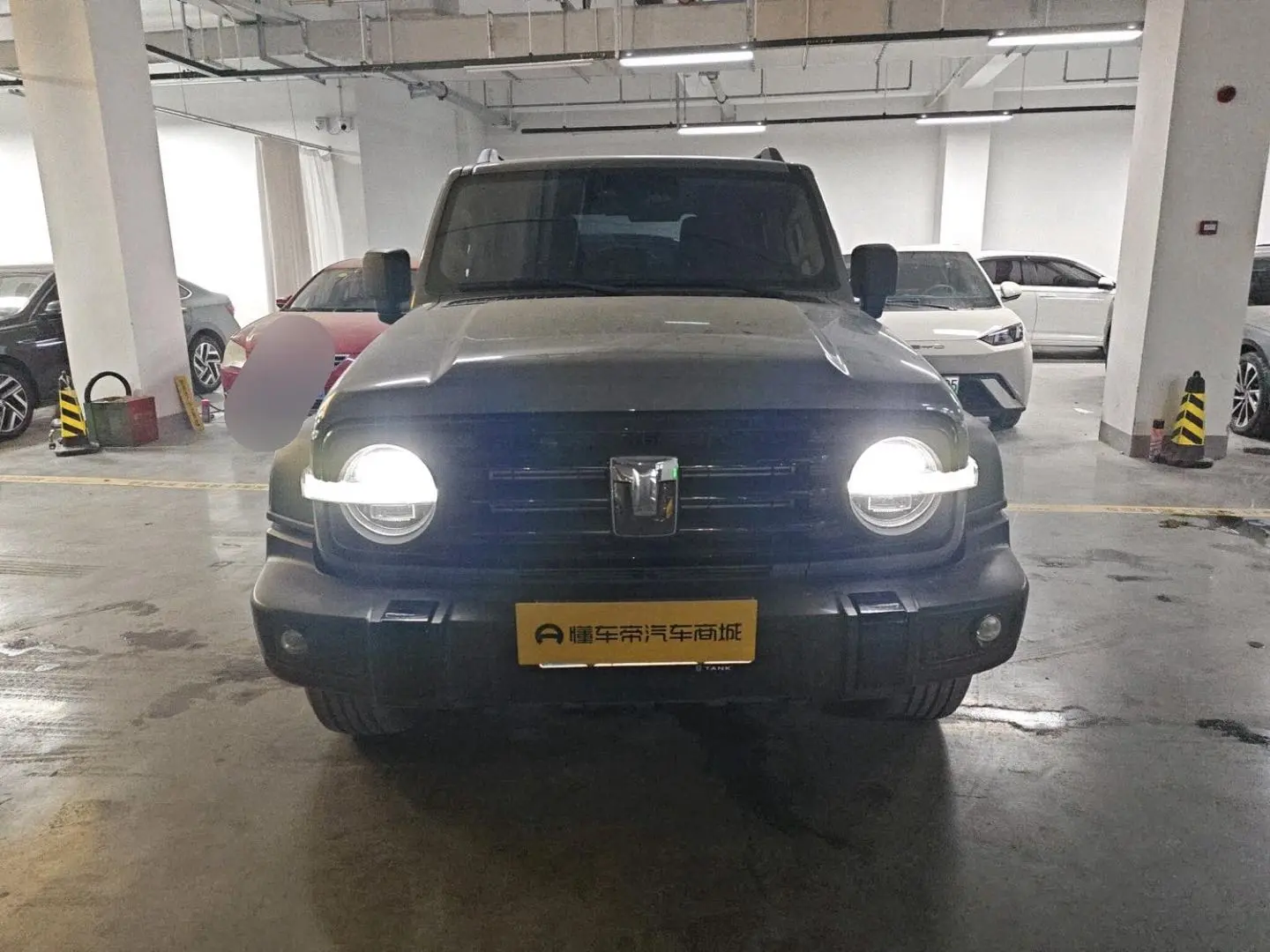 Tank 300  из Китая