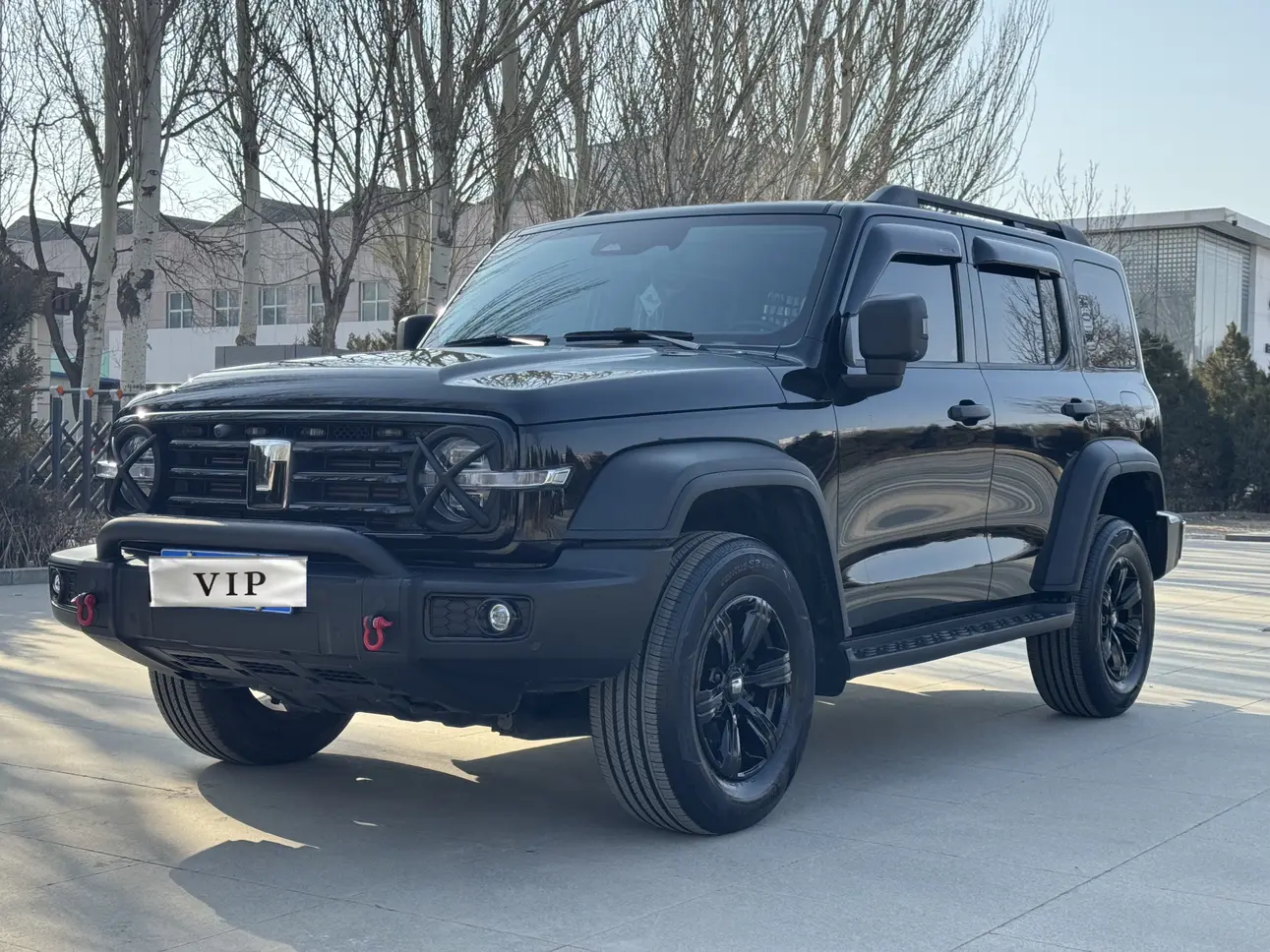 Tank 300  из Китая