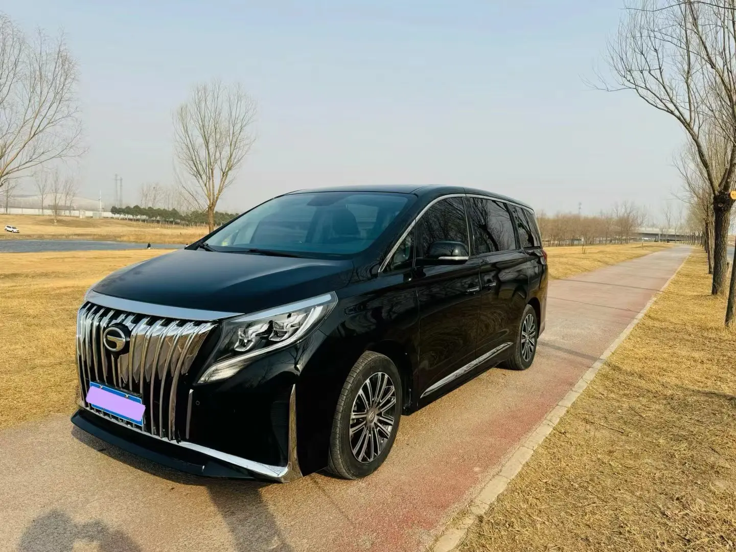 GAC Trumpchi M8  из Китая