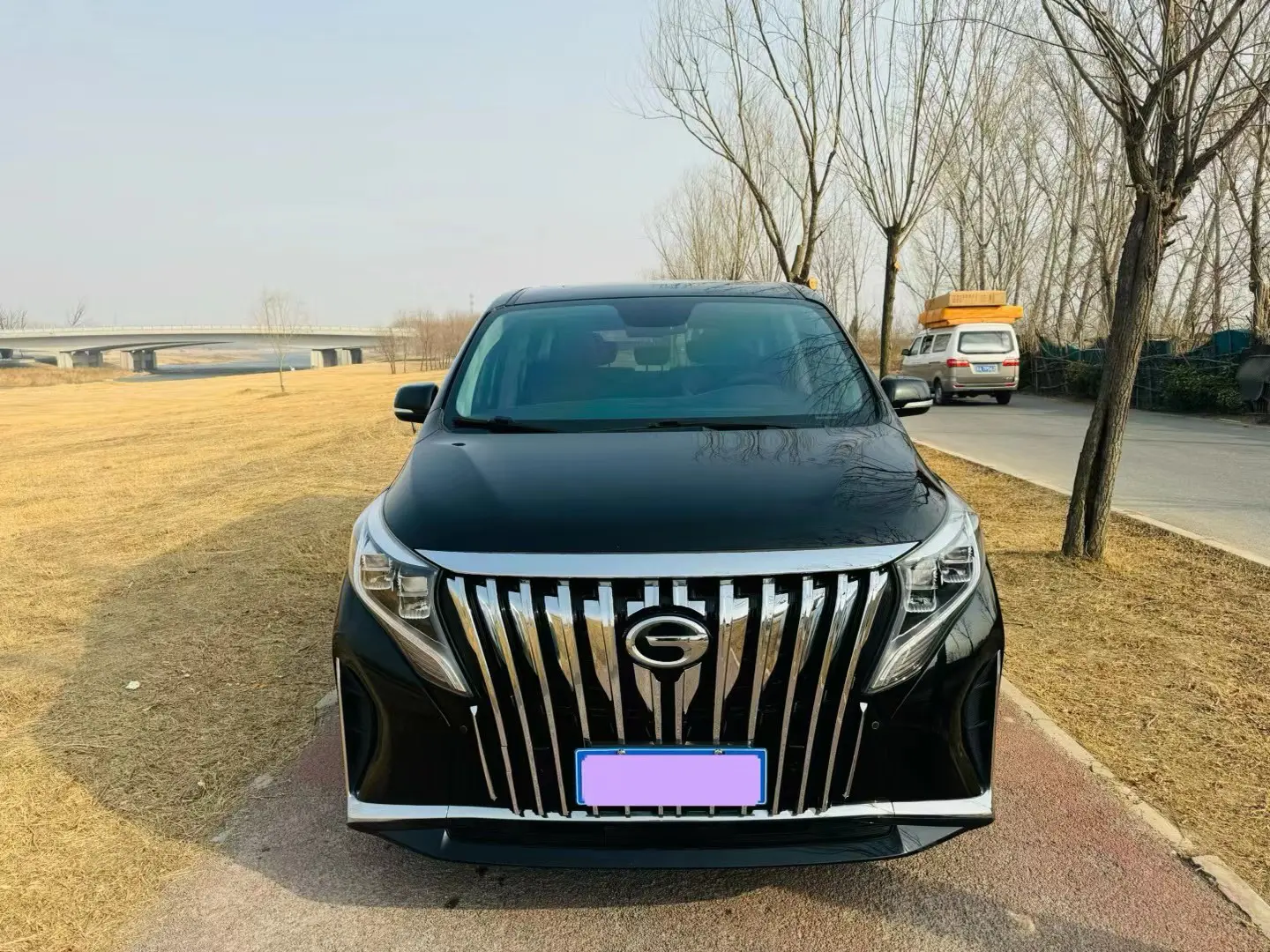 GAC Trumpchi M8  из Китая