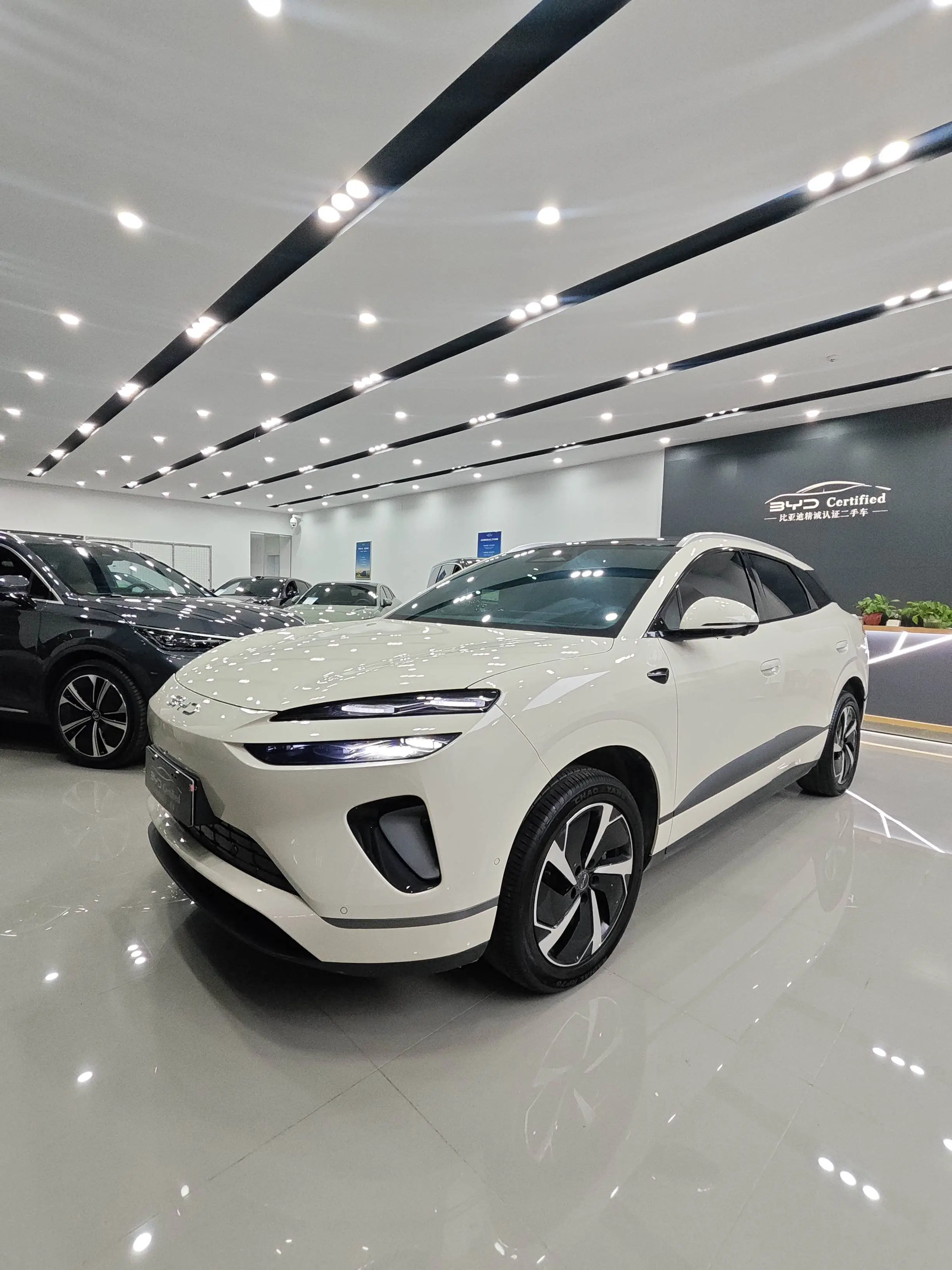 BYD Sea Lion 06EV  из Китая