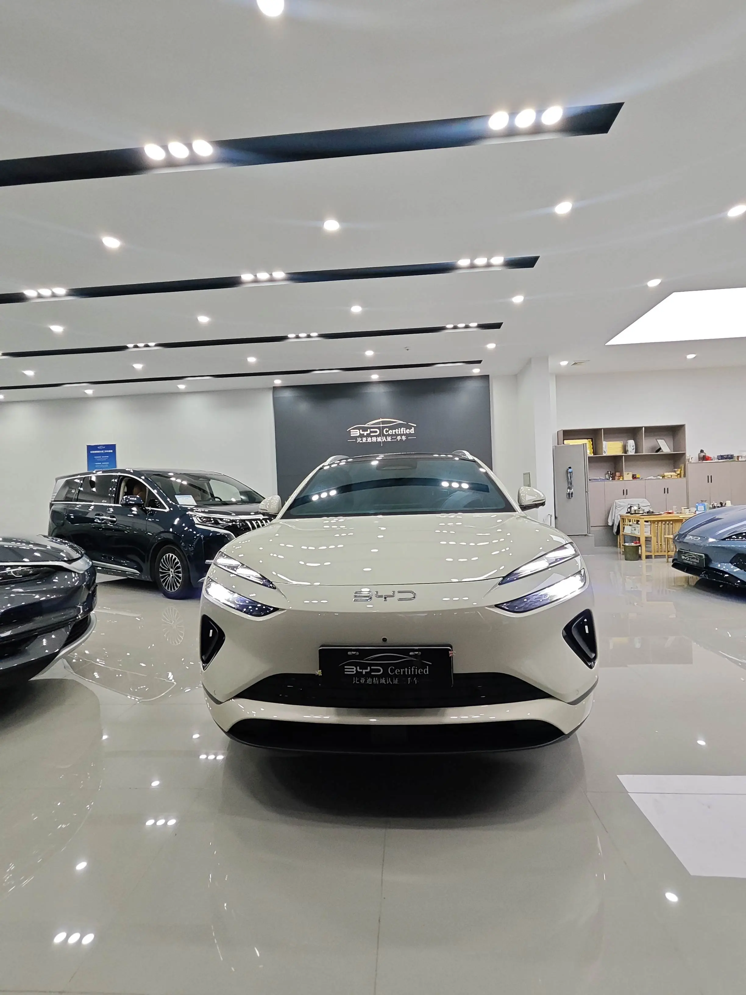 BYD Sea Lion 06EV  из Китая