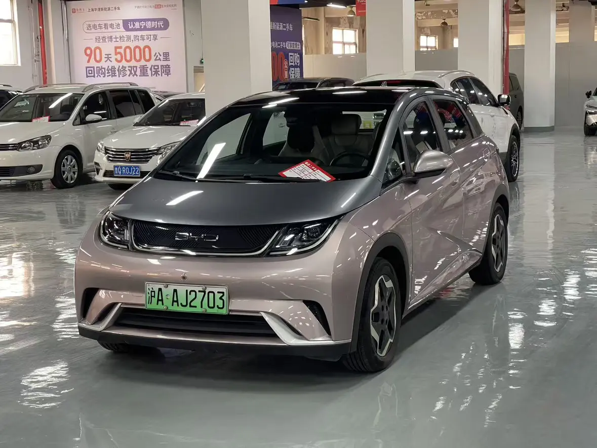 BYD Dolphin  из Китая