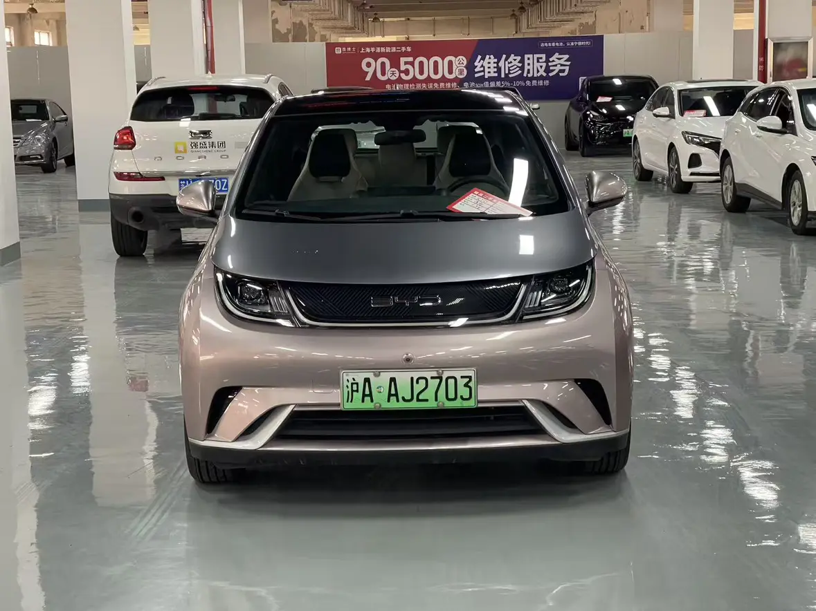 BYD Dolphin  из Китая