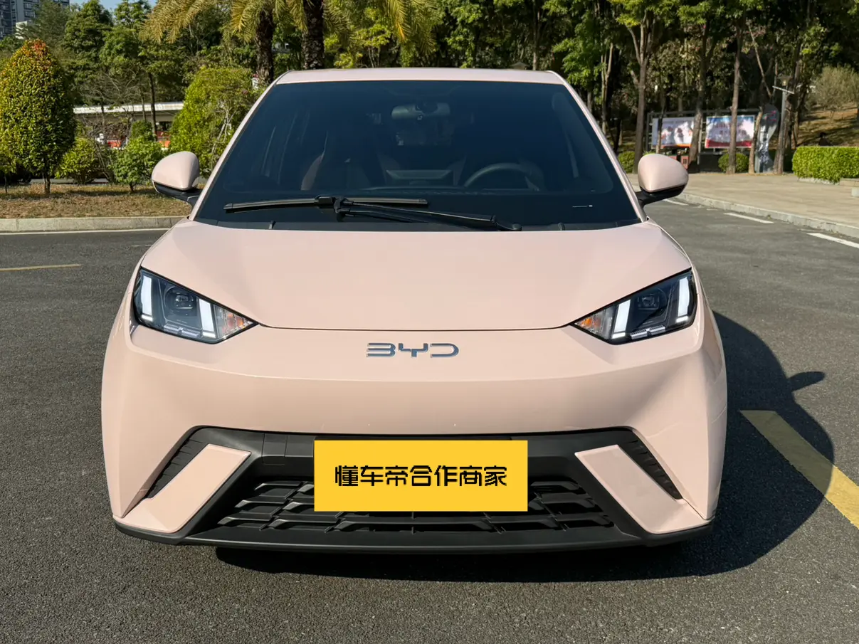 BYD Seagull  из Китая