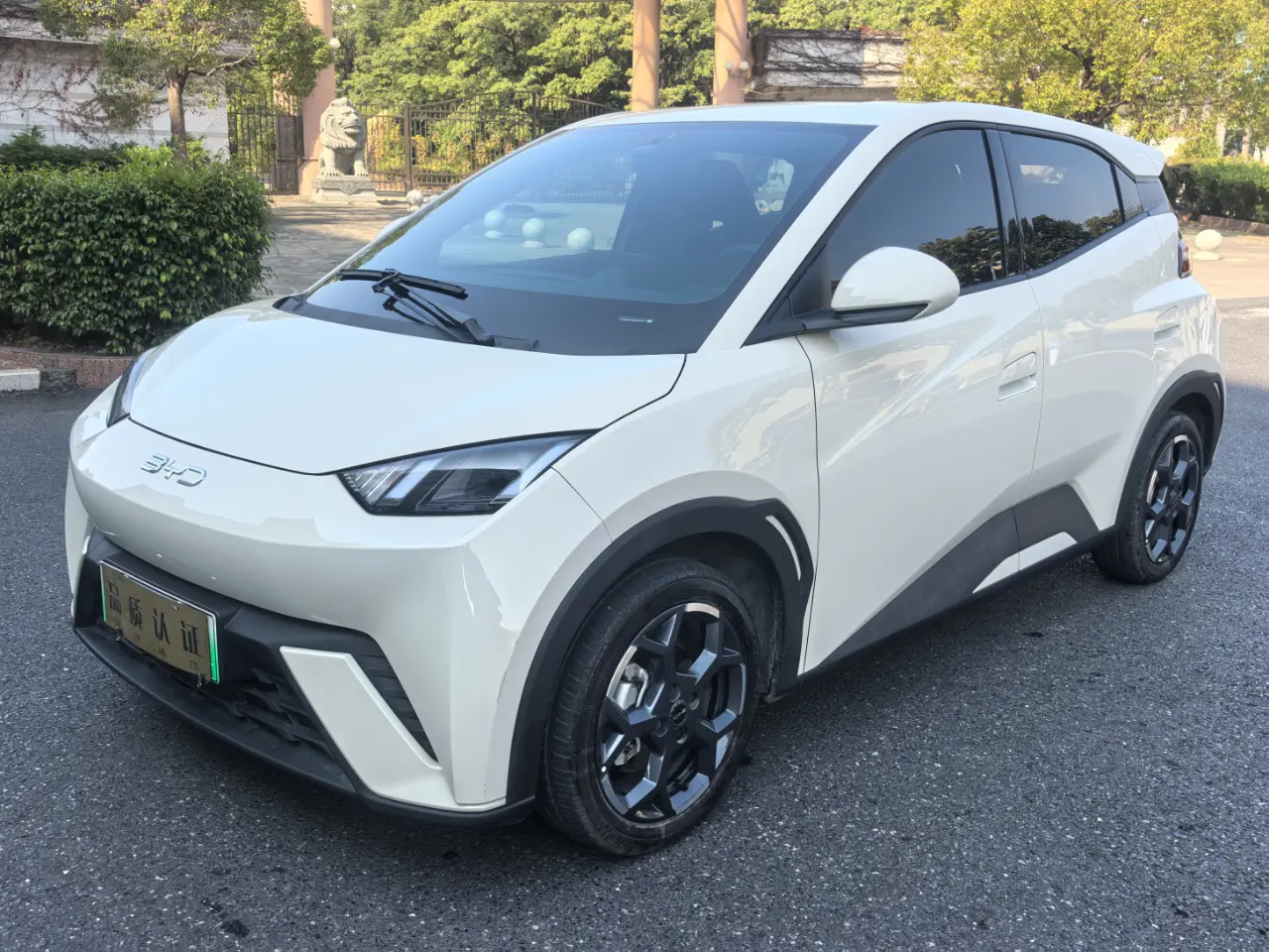 BYD Seagull  из Китая