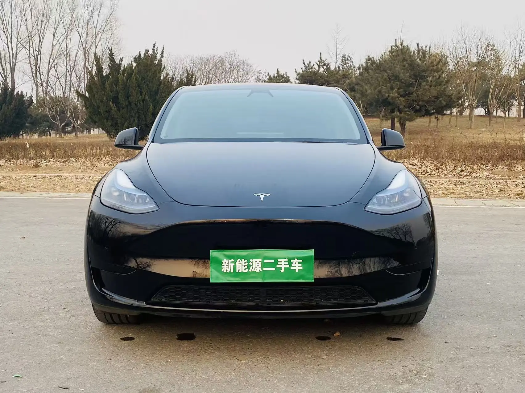 Tesla Model Y  из Китая