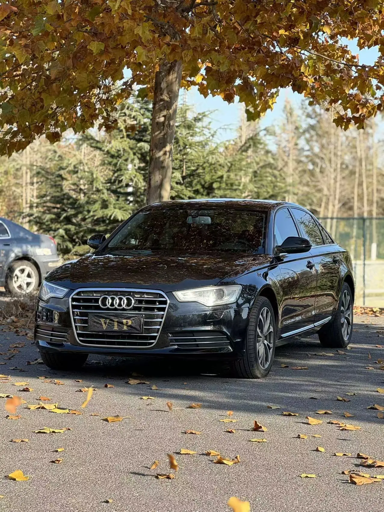 Audi A6L  из Китая