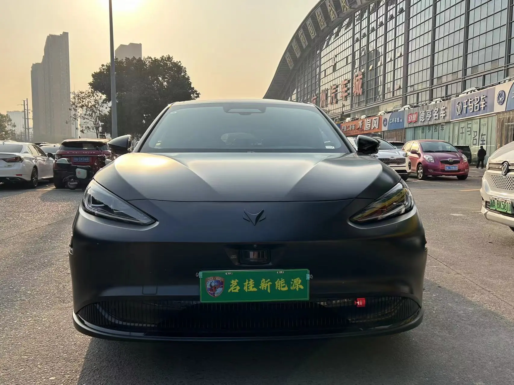 ARCFOX Extreme Fox Polar Fox Alpha S  из Китая