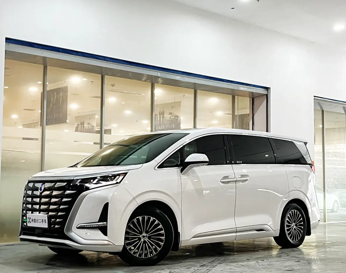 Denza D9 DM  из Китая