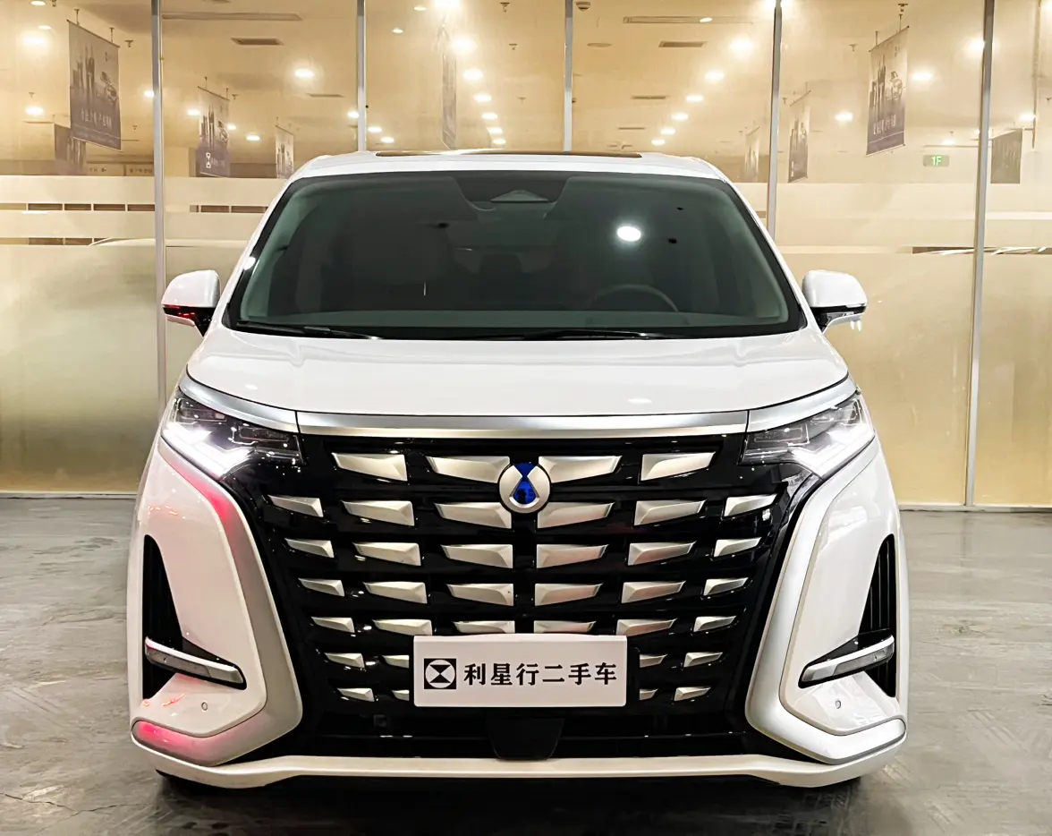 Denza D9 DM  из Китая