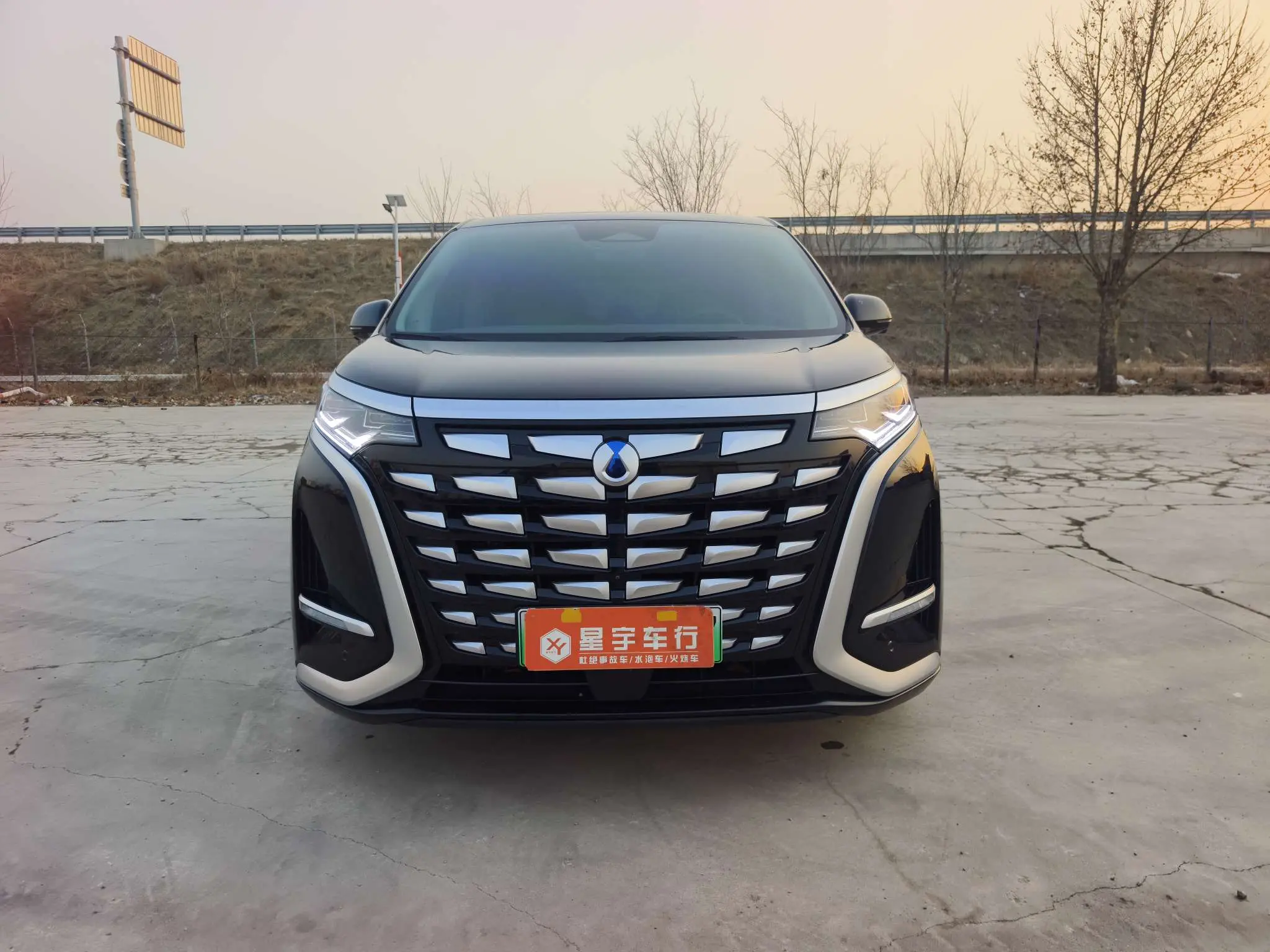 Denza D9 DM  из Китая