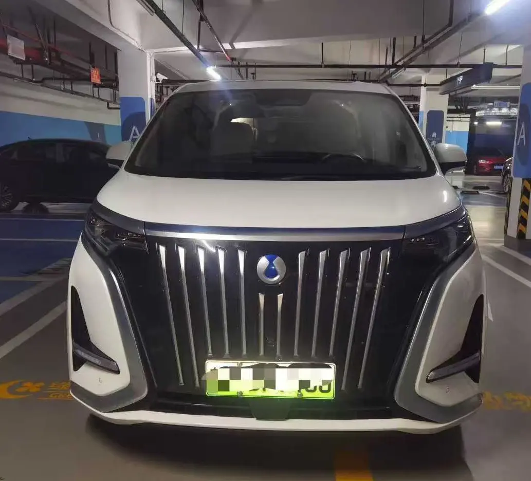 Denza D9 EV  из Китая