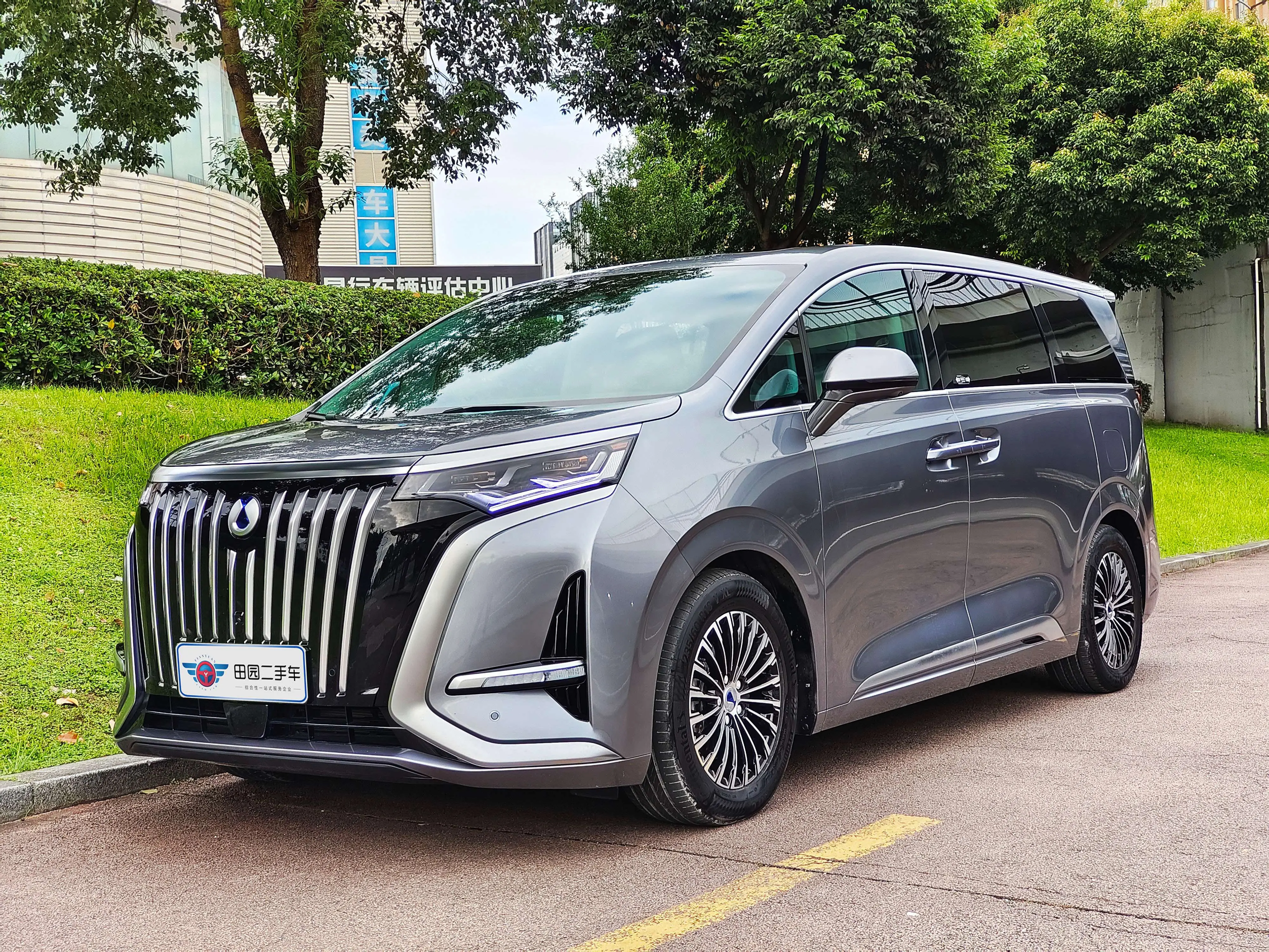 Denza D9 EV  из Китая