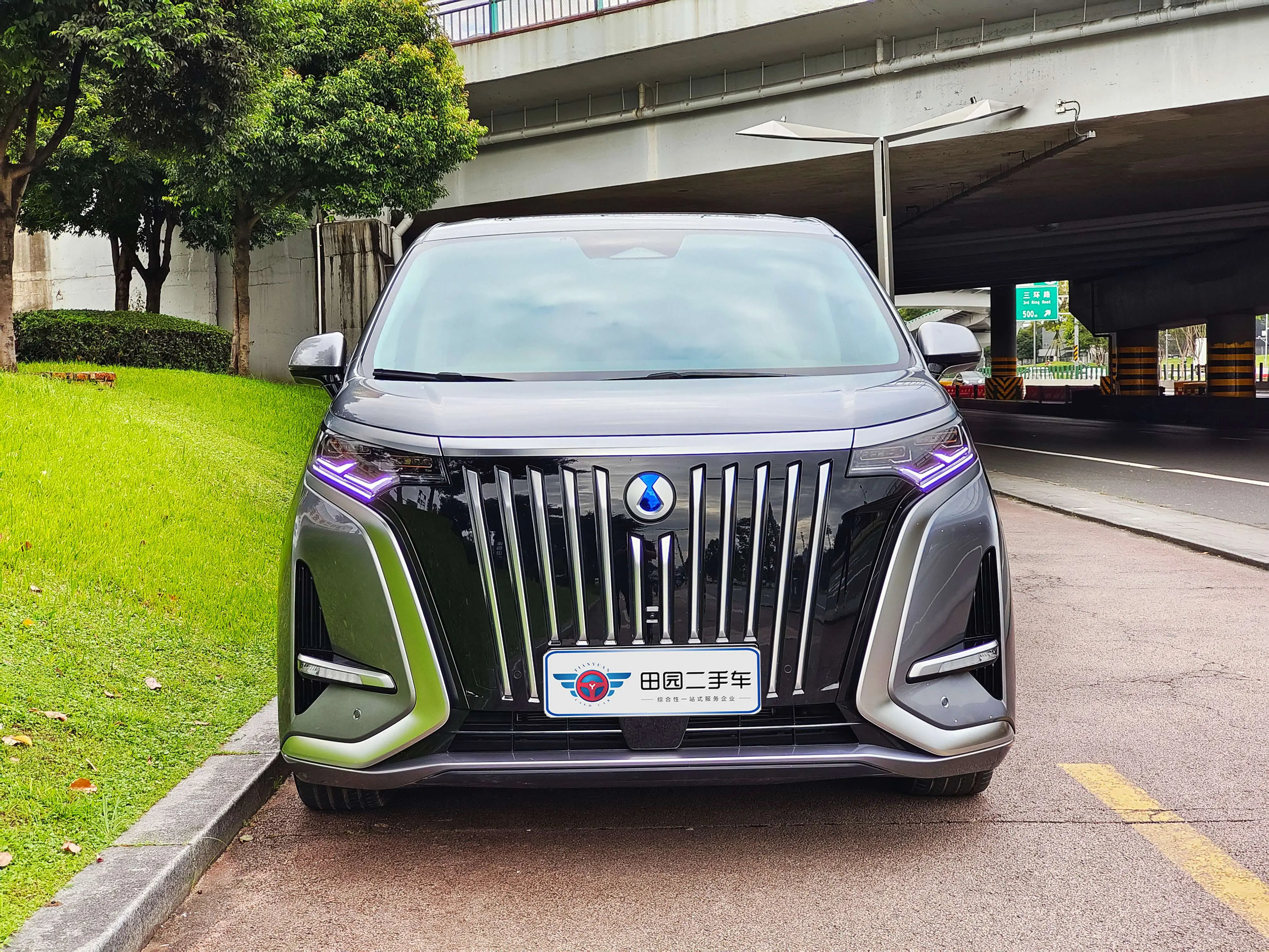 Denza D9 EV  из Китая