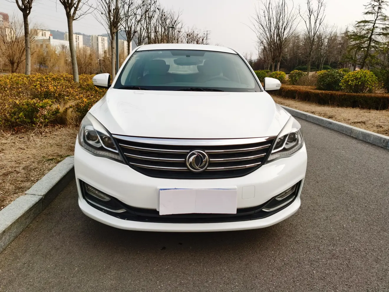 Dongfeng Fengshen A60  из Китая
