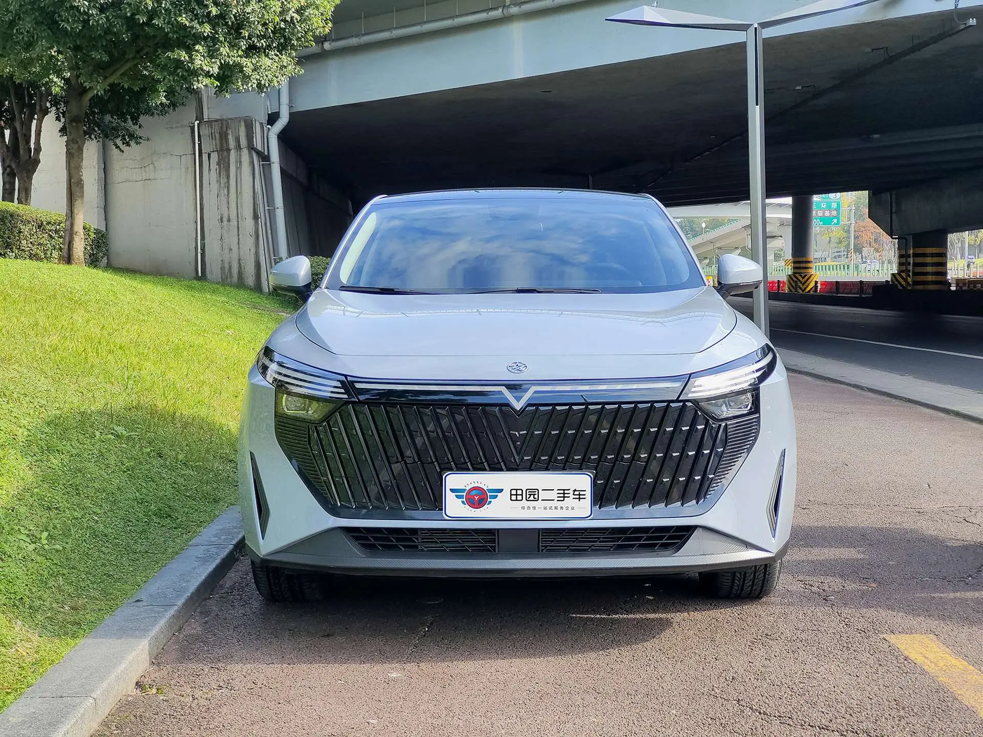 Kai Chen Qichen Big V DD-i  из Китая