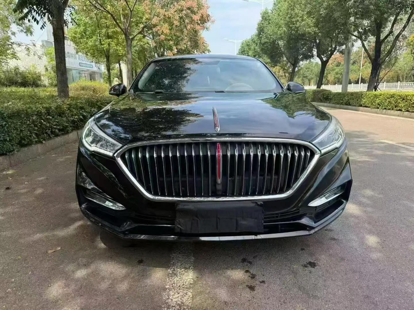 Hongqi H5 classic  из Китая